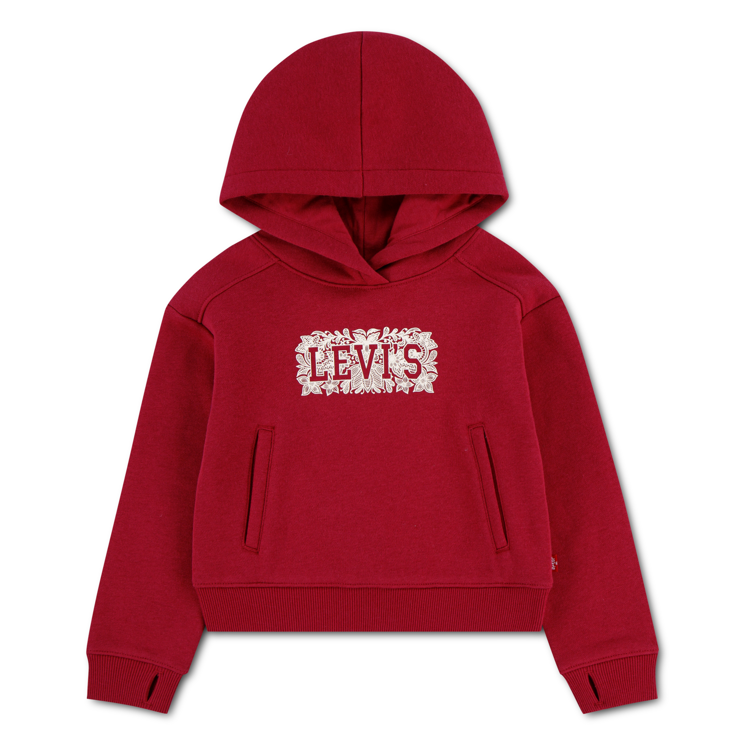 Levis Kids Kapuzensweatshirt "LVG MEET AND GREET SEASONAL HO", mit floralem Logo-Print in Kontrast - for Girls