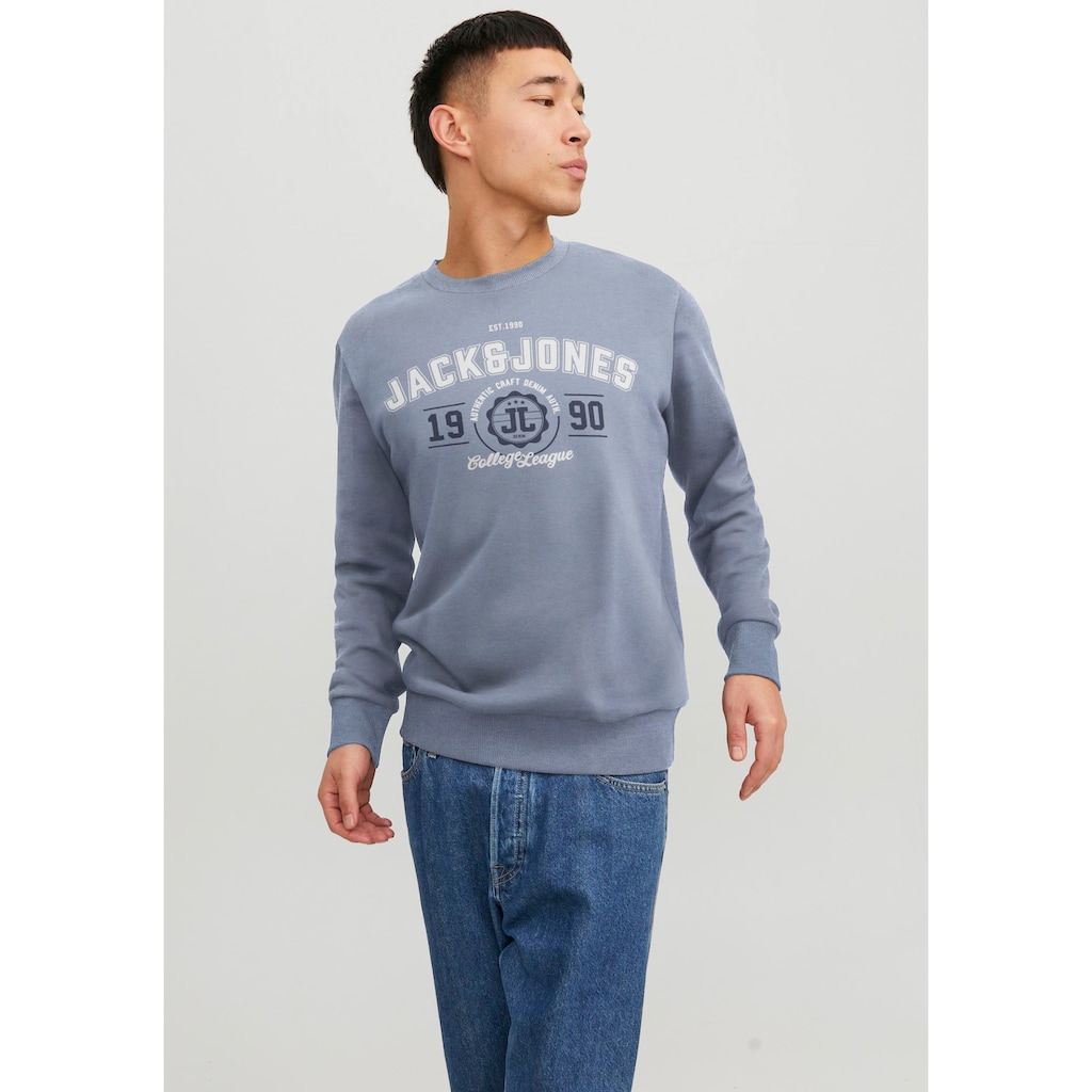 Jack & Jones Sweatshirt »JJ JJANDY SWEAT CREW NECK«