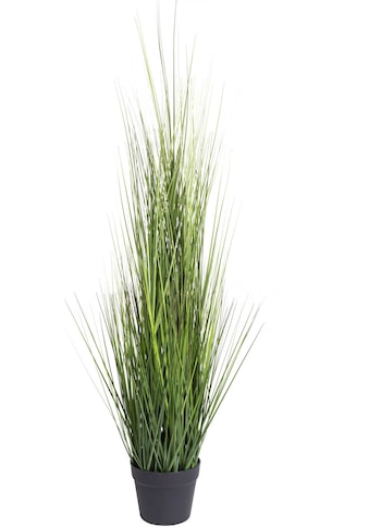 Botanic-Haus Kunstgras »Gras Festuca«