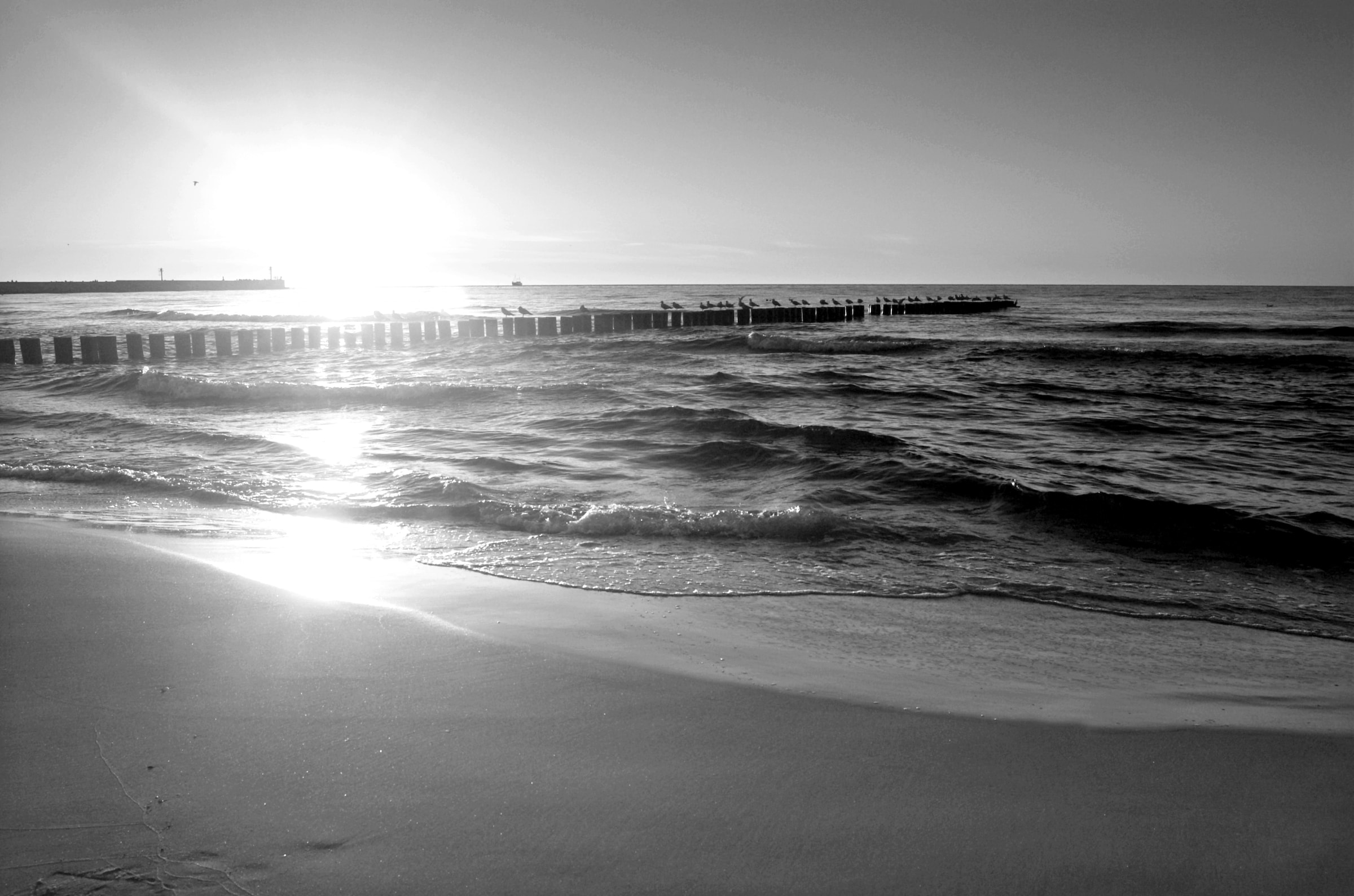 Papermoon Fototapete "Strand schwarz & weiß"