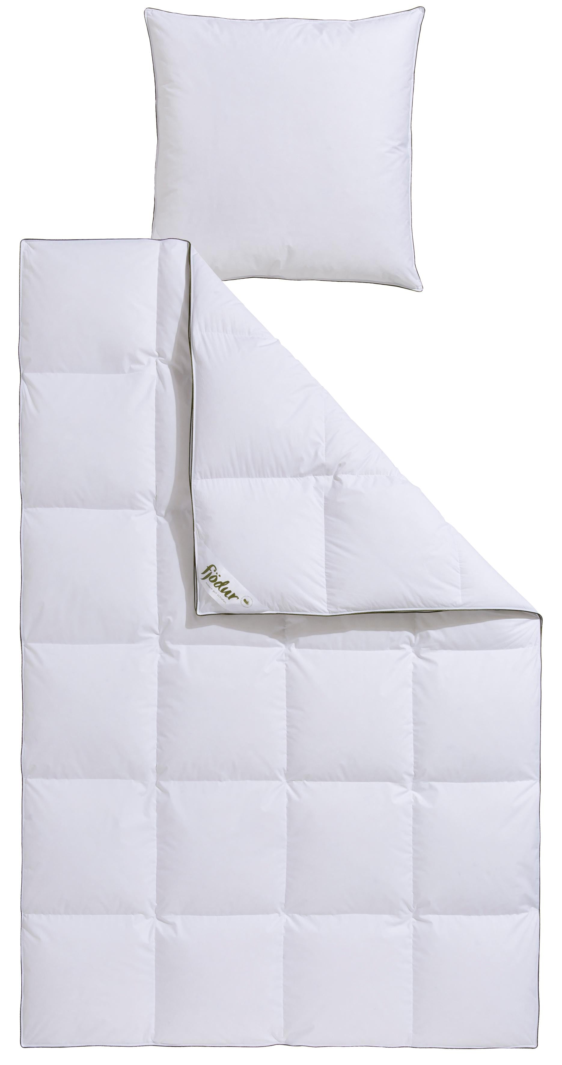 fjödur Gänsedaunenbettdecke + Kopfkissen "Franzisk, Bettwaren-Set, 135x200 oder 155x220 cm, Sommer oder Winter" Wohlfühlkomfort dank Naturfüllung