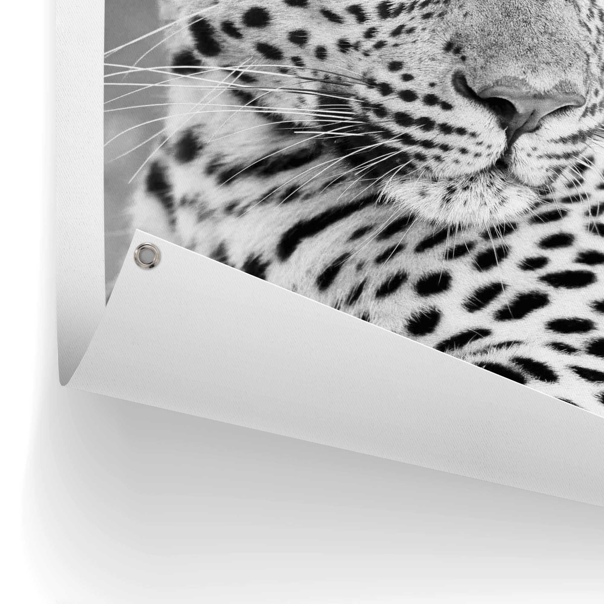 oder Outdoor kaufen Poster für Balkon Garten BAUR | Reinders! »Leopard«,