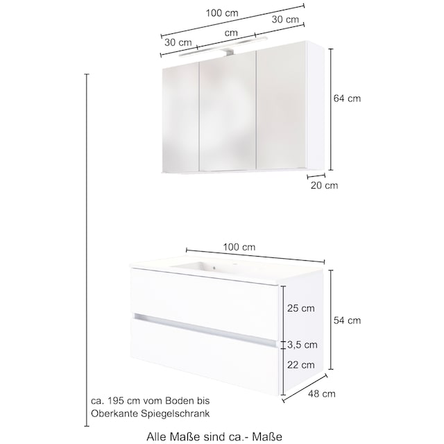 HELD MÖBEL Waschtisch-Set »Baabe«, (Set, 2 St.), Breite 100 cm,  Softclose-Funktion kaufen | BAUR