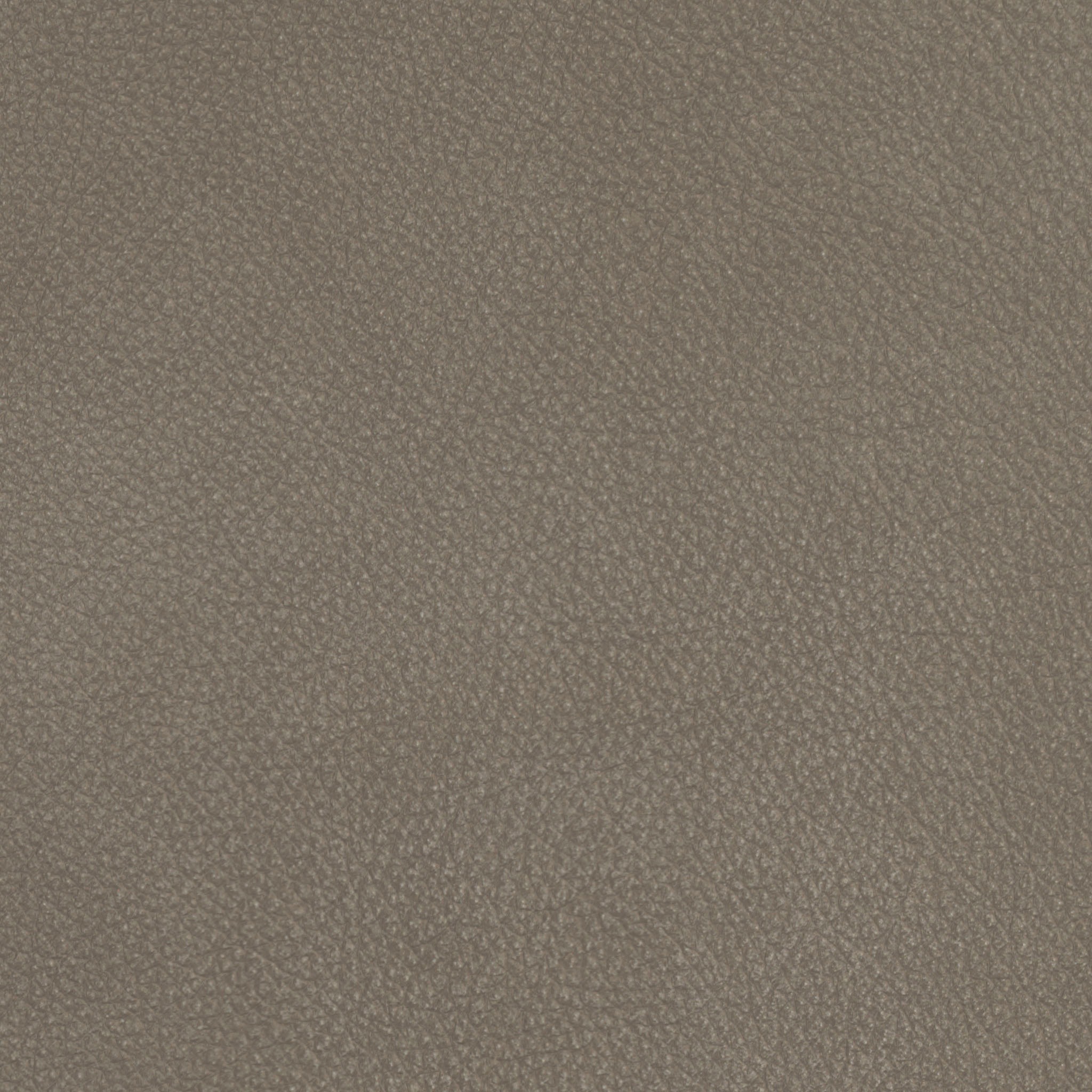 Die PlanBar Hocker »PN-EM22041«, hochwertige Kaltschaumpolsterung, stylische Metallfüße
