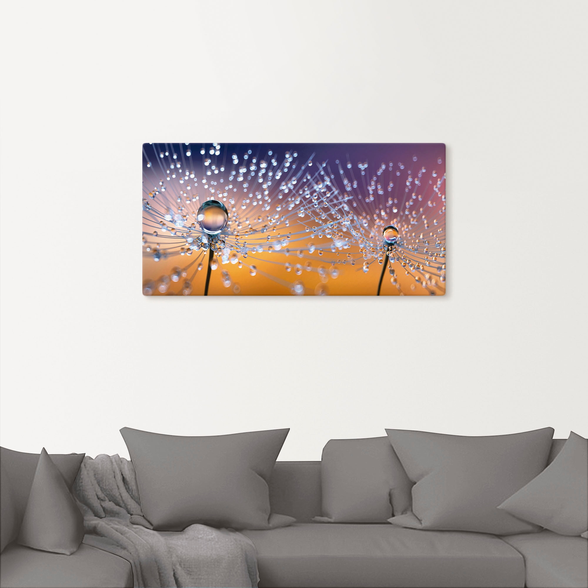 Artland Wandbild »Pusteblumen Tautropfen«, Blumenbilder, (1 St.), als Alubild, Outdoorbild, Leinwandbild, Poster, Wandaufkleber
