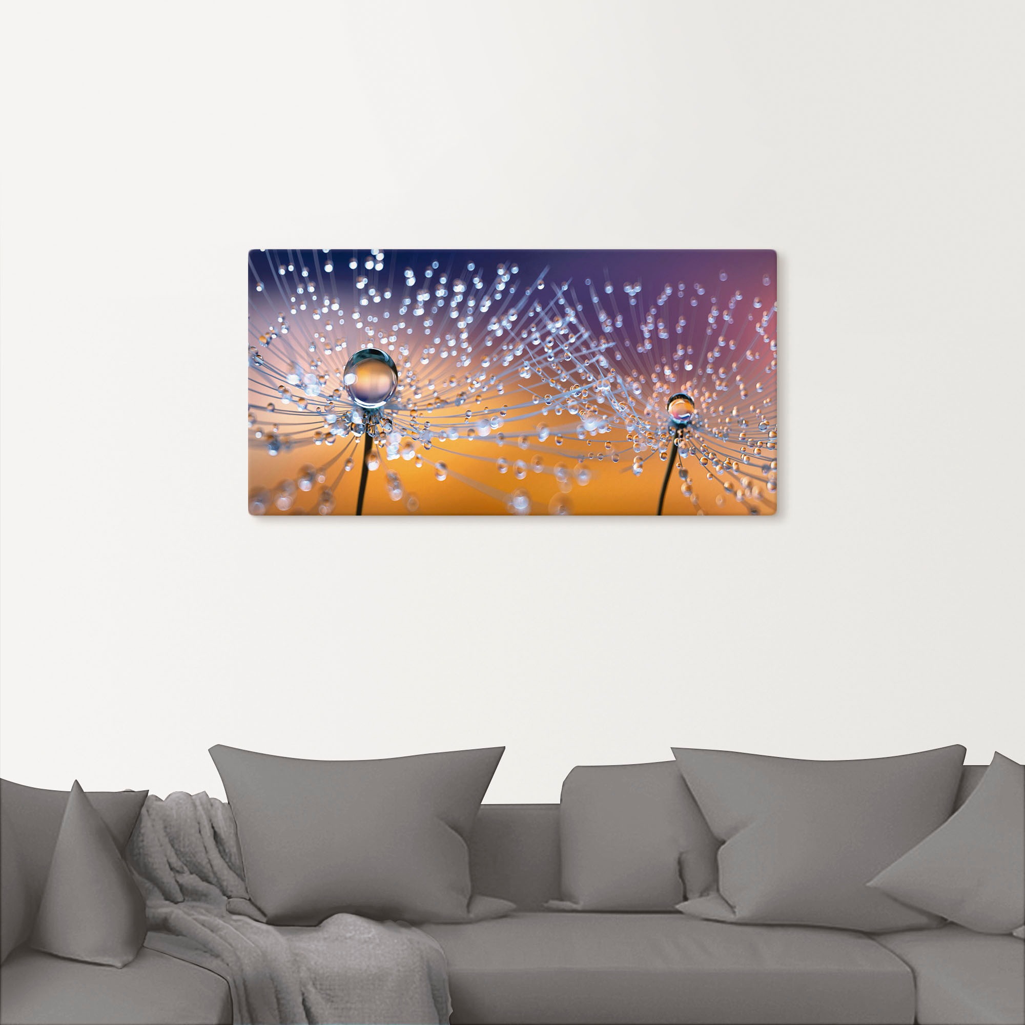 Artland Leinwandbild "Pusteblumen Tautropfen" Blumenbilder 1 Stk. tlg. als günstig online kaufen
