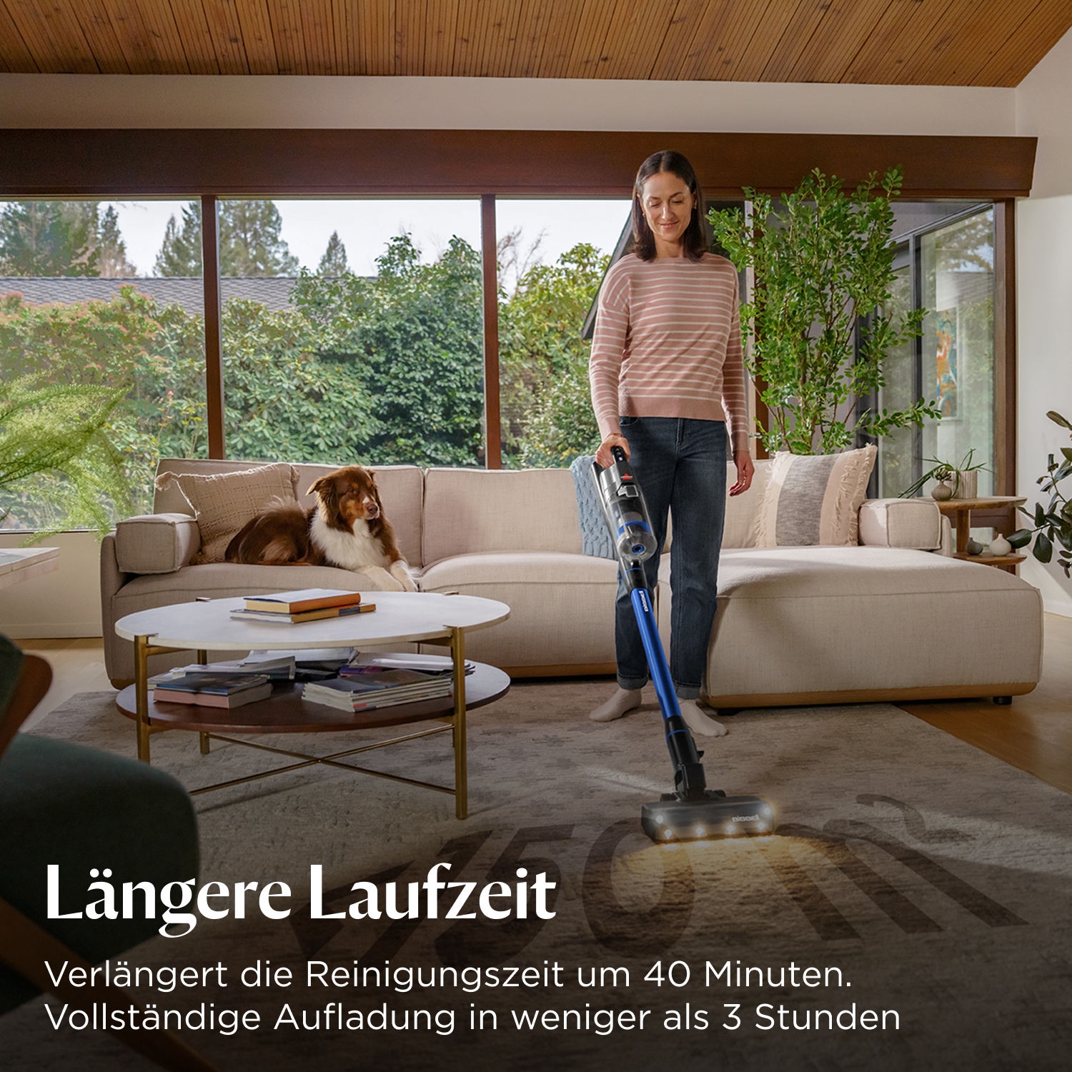 Bissell Zusatz-Akku "4142" 2.000 mAh 25,2 günstig online kaufen