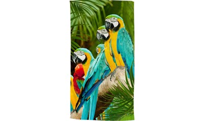 good morning Strandtuch »Parrots«, (1 St.), Motiv Papageien, mit weißer Rückseite kaufen