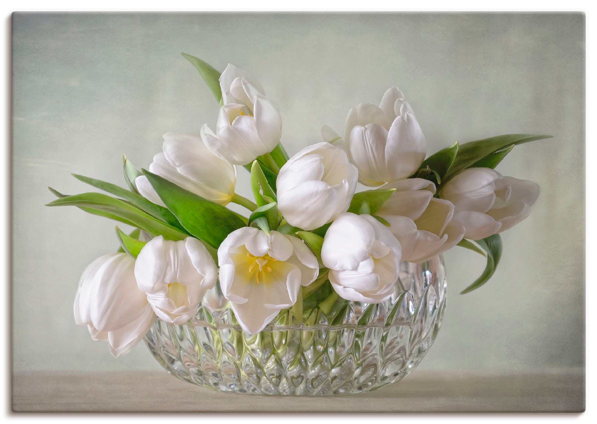 BAUR Blumen, St.), als Alubild, Größen Wandaufkleber »Weiße Leinwandbild, Poster versch. oder in Wandbild Artland kaufen | Tulpen«, (1
