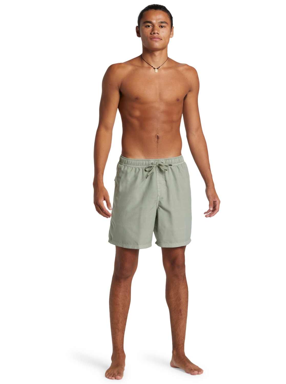 Quiksilver Boardshorts »Everyday Surfwash Volley 17"«