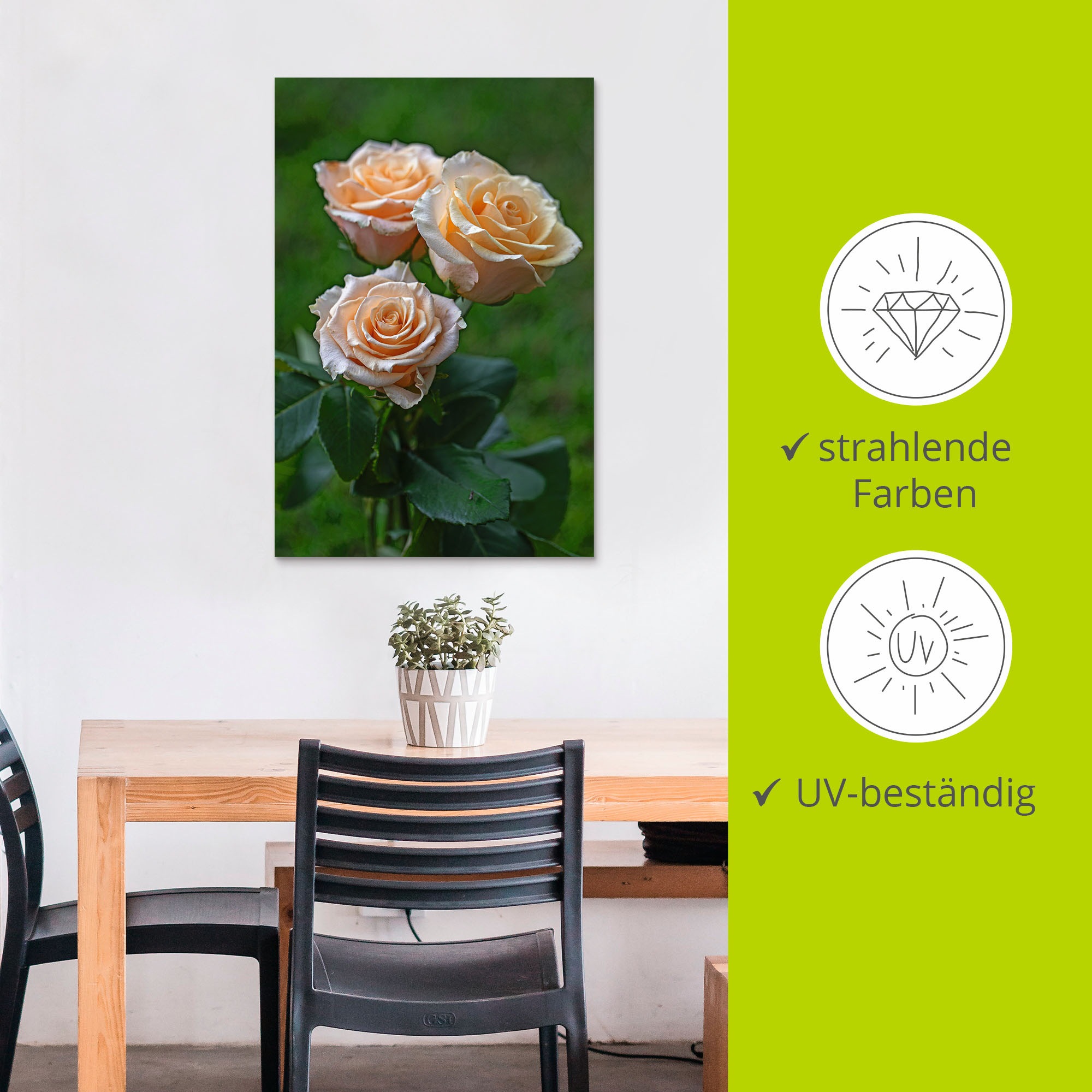 Wandaufkleber »wunderschöne Rosen«, Artland (1 als Alubild, kaufen BAUR in St.), Poster oder Wandbild versch. | Blumenbilder, Größen Leinwandbild,
