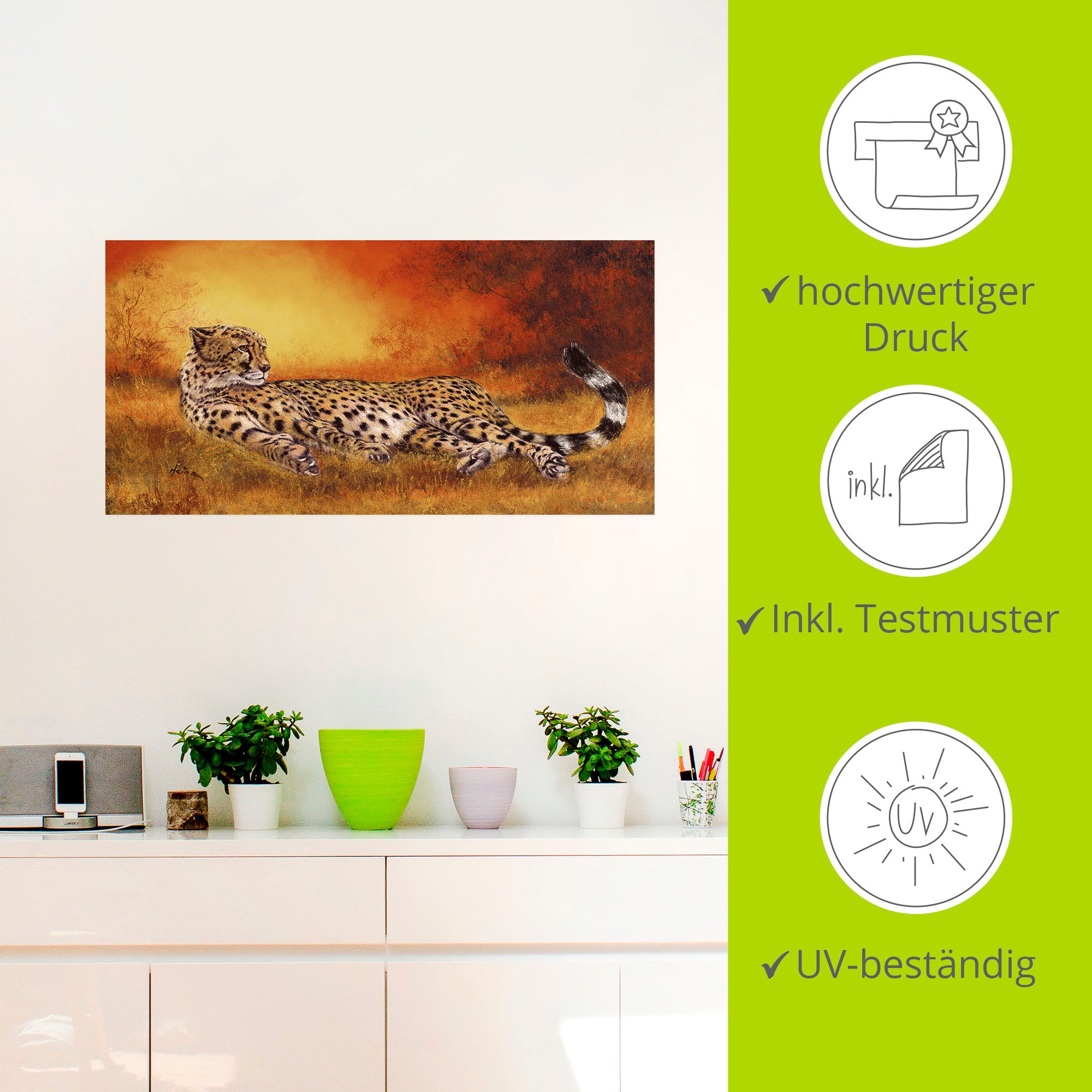 Artland Wandbild »Gepard«, Geparden Bilder, (1 St.), als Alubild, Outdoorbild, Leinwandbild, Poster, Wandaufkleber