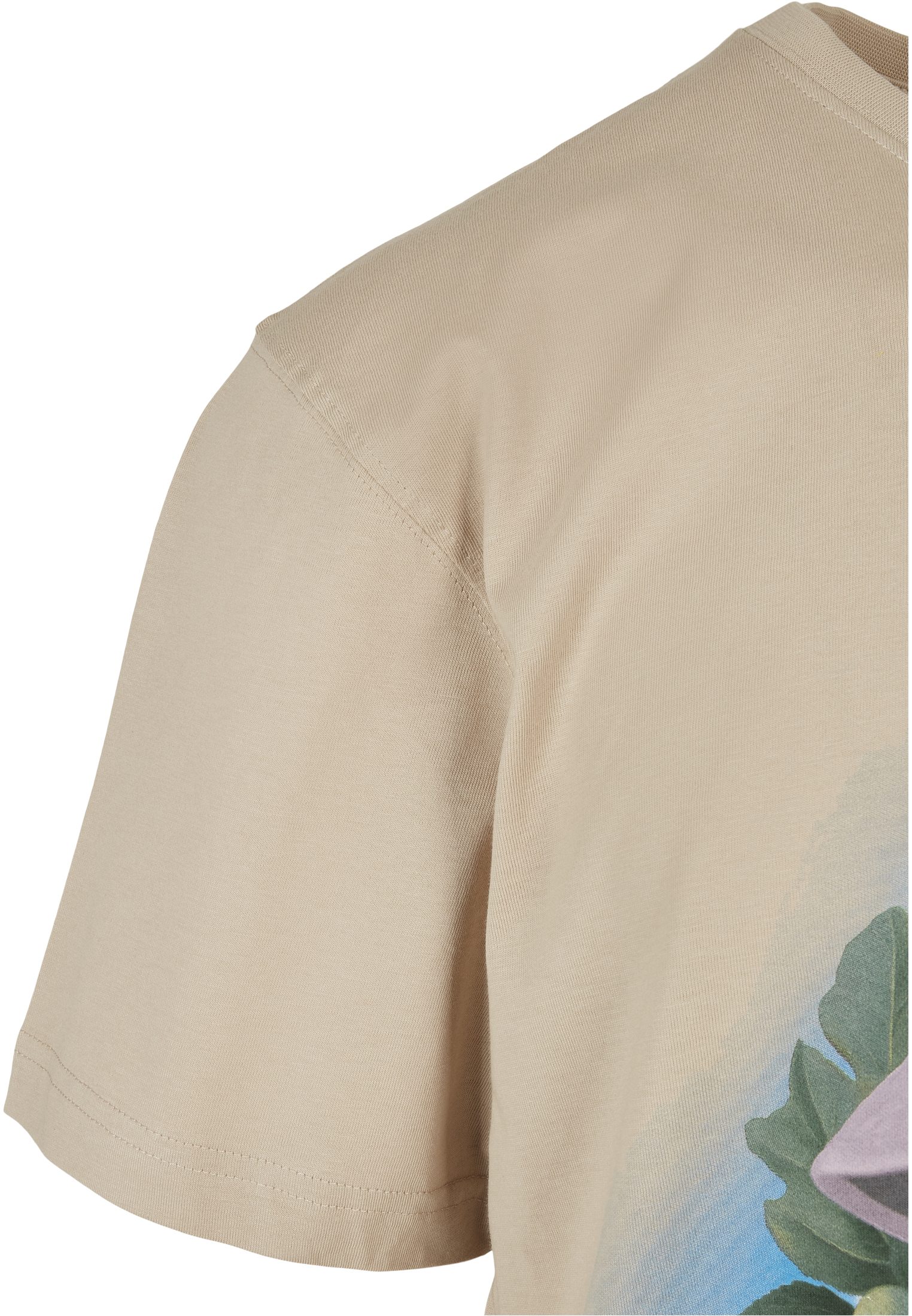 CAYLER & SONS Kurzarmshirt »Cayler & Sons Herren C&S Safari Head Tee«, (1 tlg.)