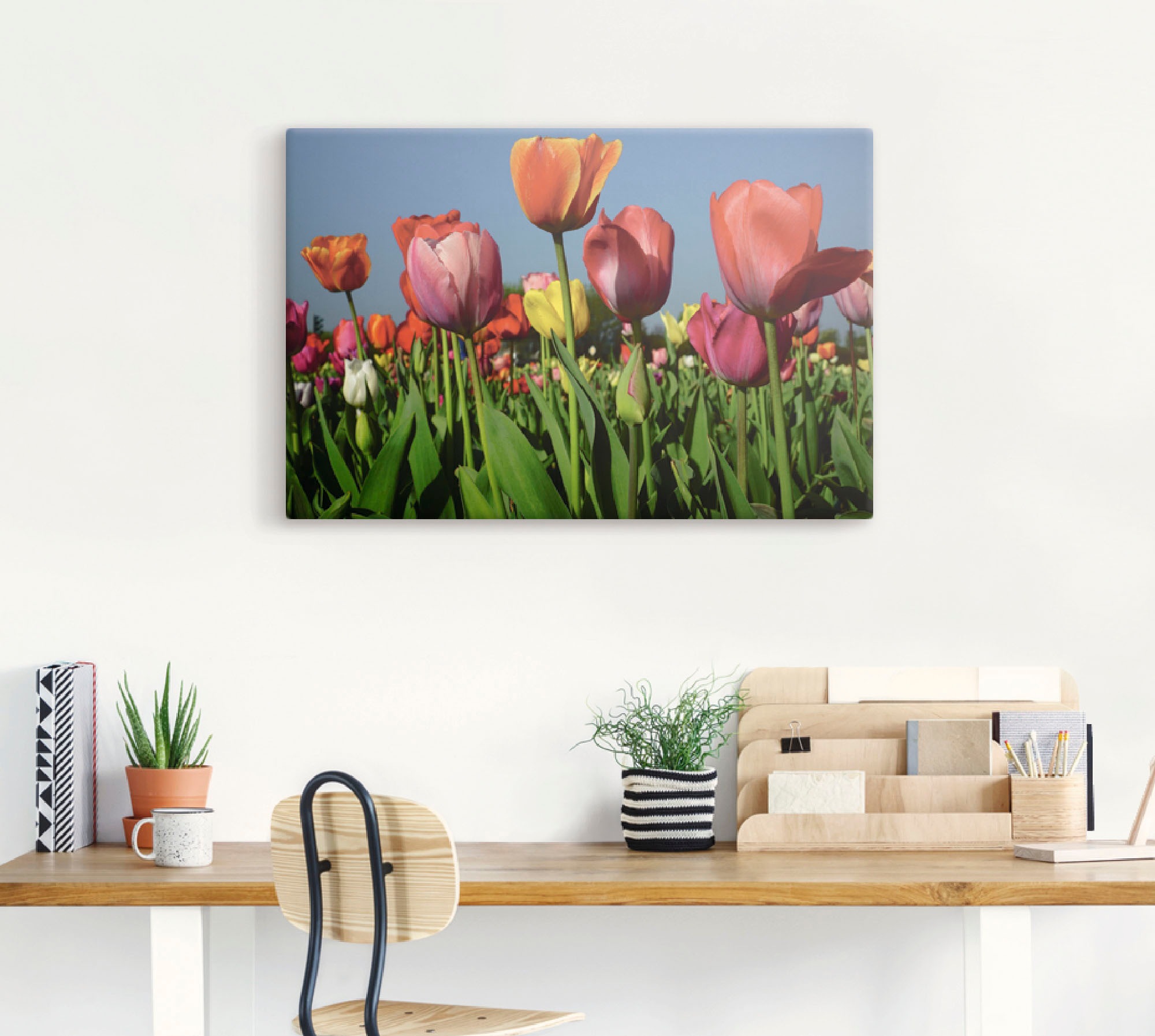 Artland Leinwandbild »Buntes Tulpenfeld«, Blumen, (1 St.), auf Keilrahmen gespannt