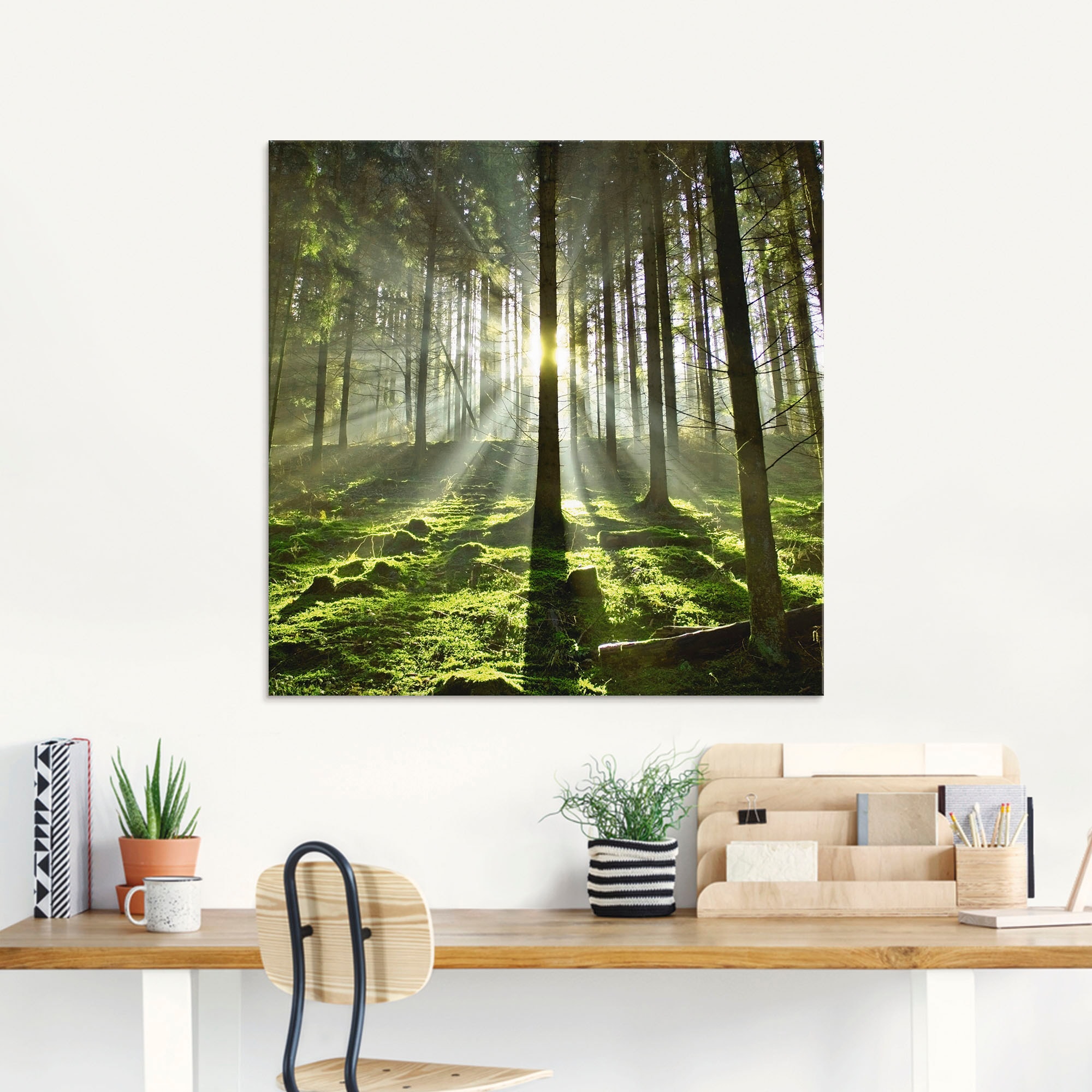 Artland Glasbild »Wald Größen bestellen BAUR | in Gegenlicht«, (1 St.), im Wald, verschiedenen