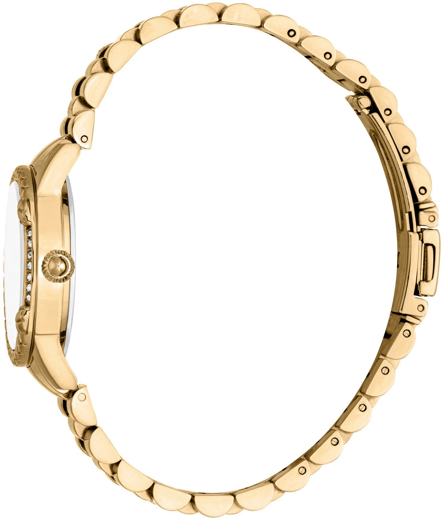 Just Cavalli Time Quarzuhr »Snake«, Armbanduhr,Damenuhr,Edelstahlband,Perlmutt-Zifferblatt,Kristallsteine