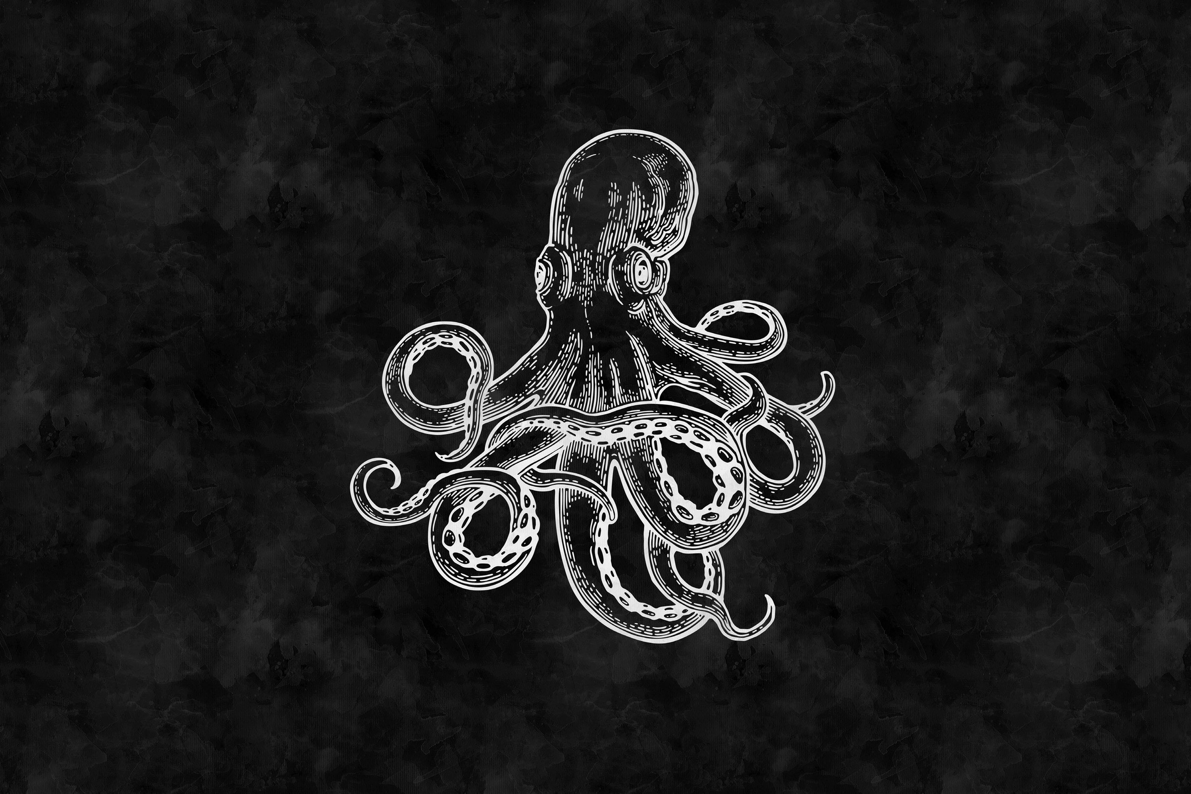 A.S. Création Leinwandbild »blackboard 4«, Kunst-Gemälde-Kinder, (1 St.), Schwarz-Weiß Octopus Keilrahmen Tafel Leinwand-Bild Wohnzimmer modern