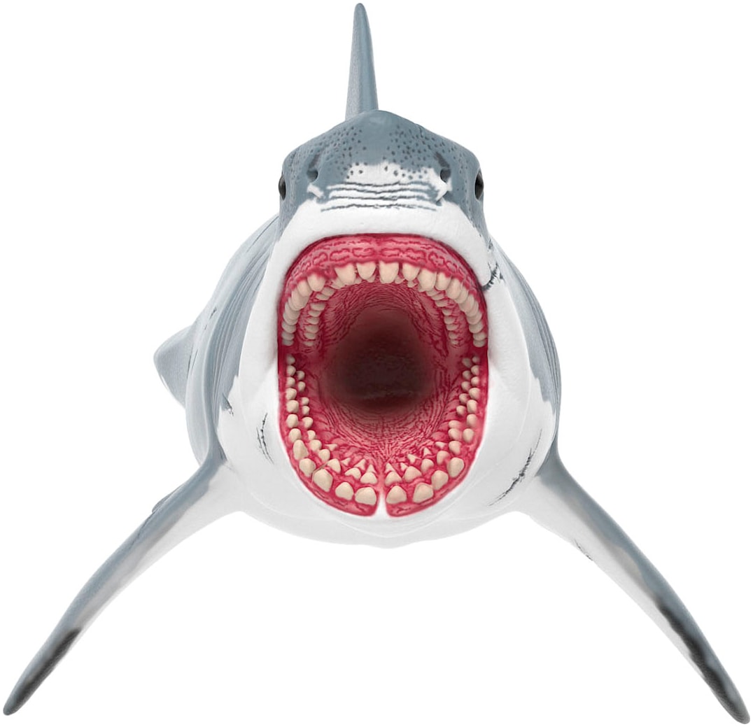 Schleich® Spielfigur »DINOSAURS, Megalodon (15055)«