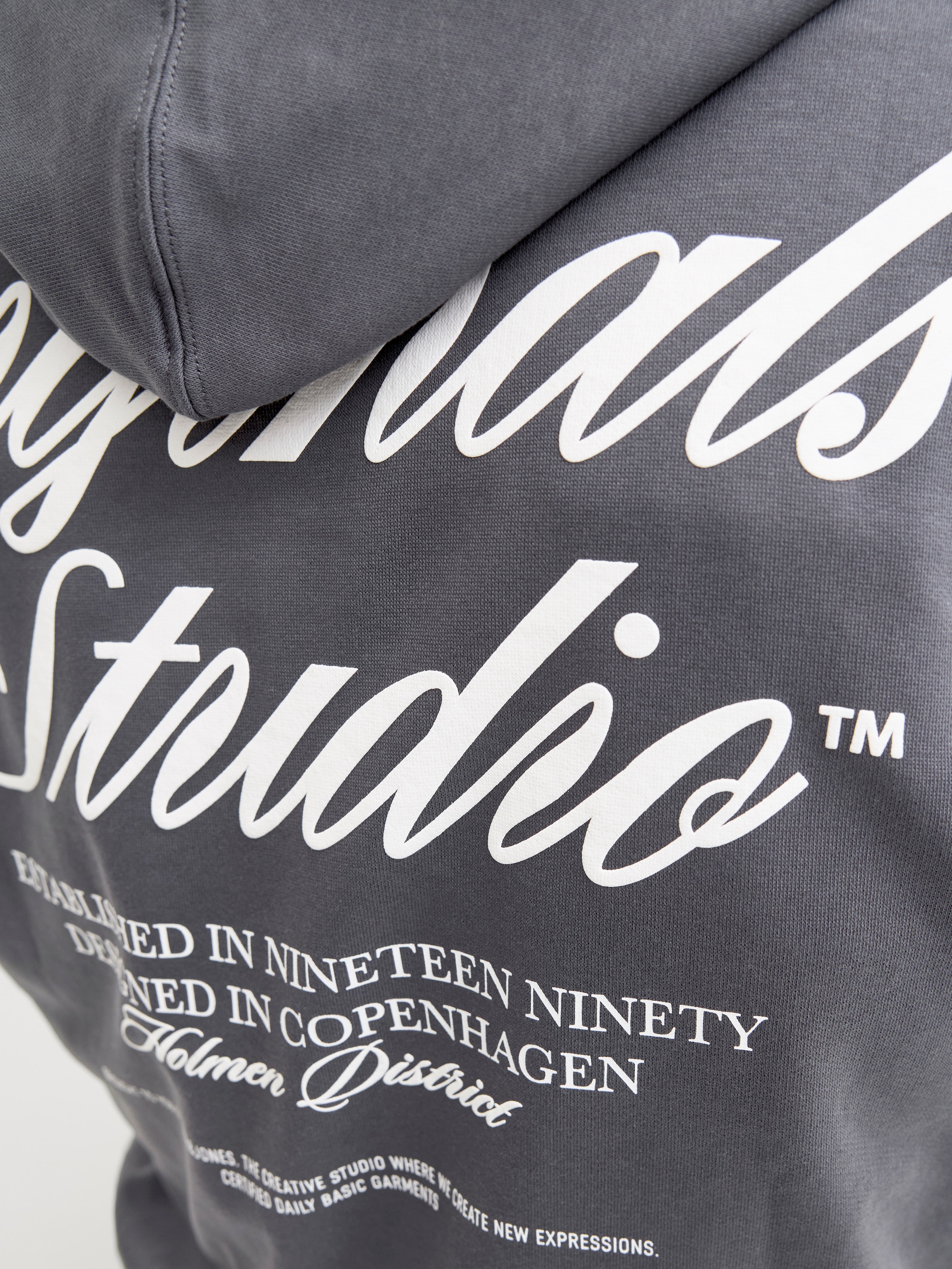 Jack & Jones PlusSize Kapuzensweatshirt »JORNORREBRO TYPO BACK SWEAT HOOD PLS«, Baumwollmischung, regular fit
