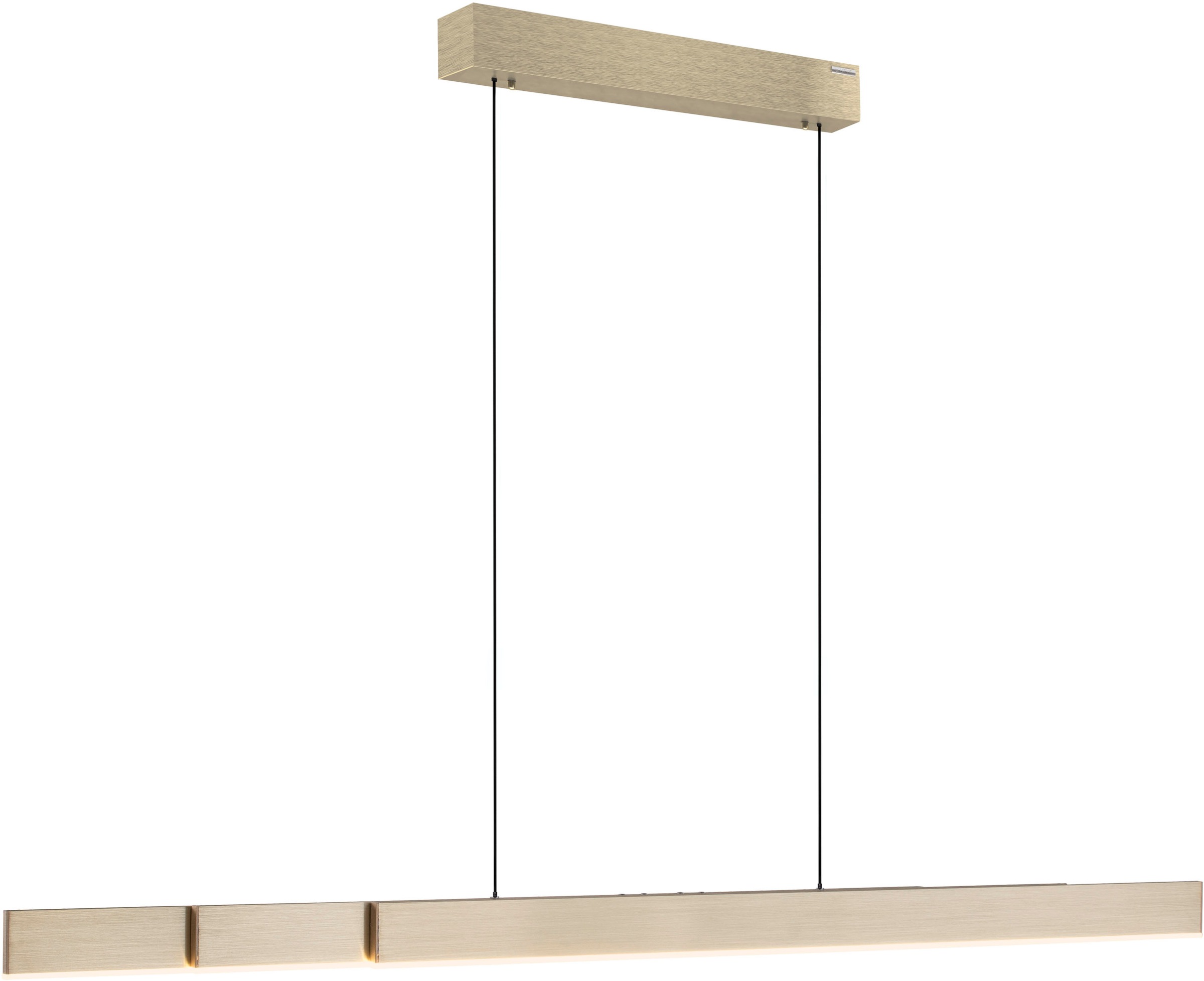 Neuhaus PURE LED Pendelleuchte »PURE Moto-Rise« LED-Board 1 Stk. warmweiß - kaltweiß e-LIFT® Funktion, e-SLIDE® Funktion, Fernbedienung