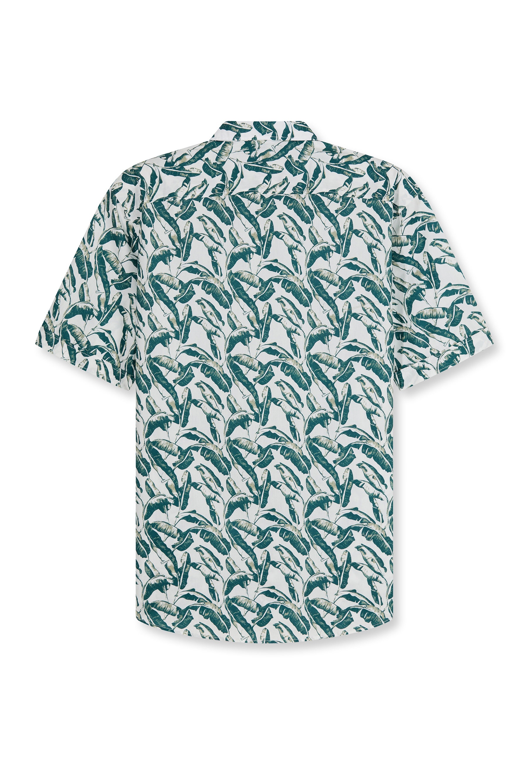 OLYMP Kurzarmhemd »OLYMP Casual, regular fit, Kent«