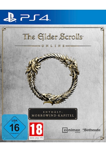 Bethesda Spielesoftware »The Elder Scrolls Onli...