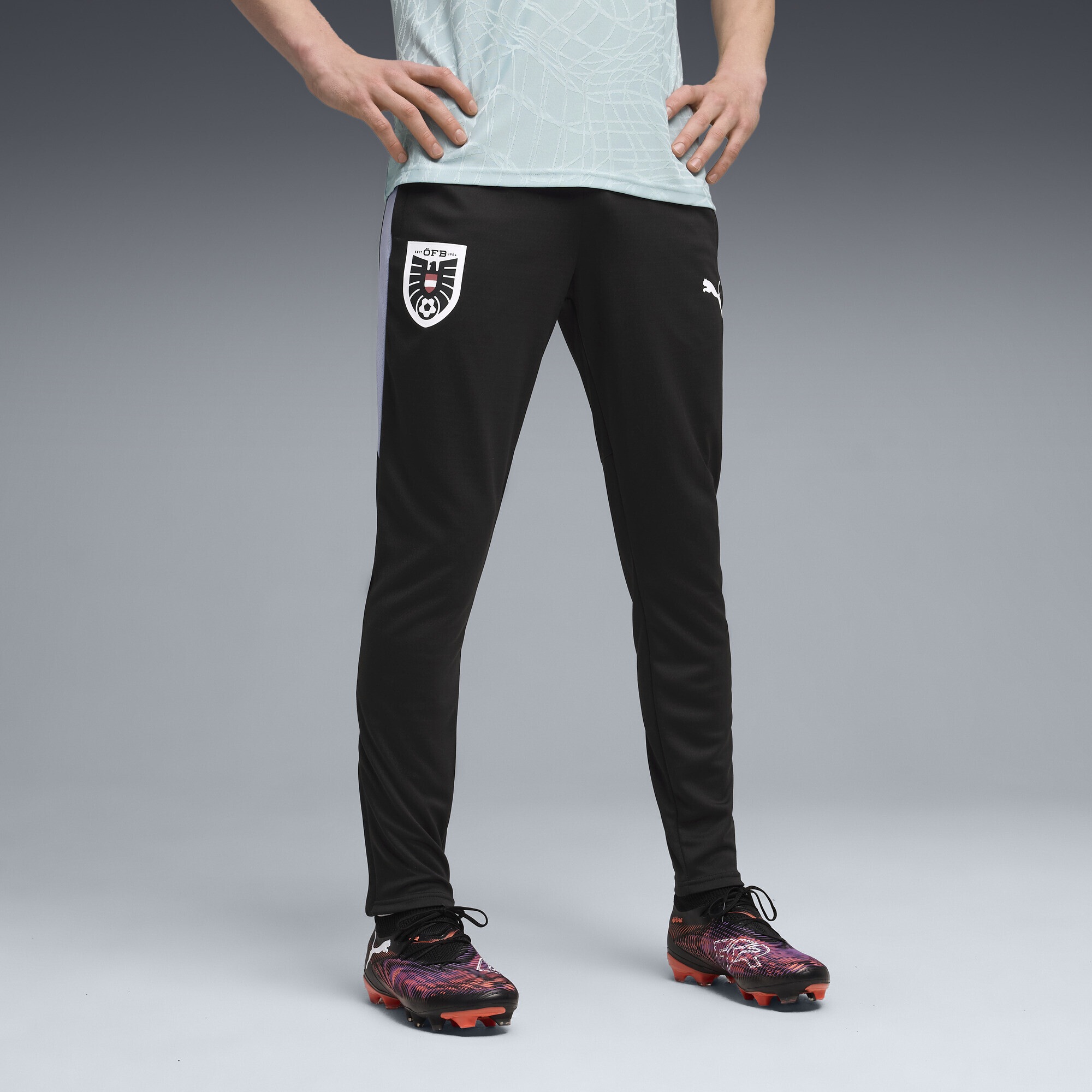 PUMA Sporthose "Österreich Slim Trainingshose Herren" günstig online kaufen