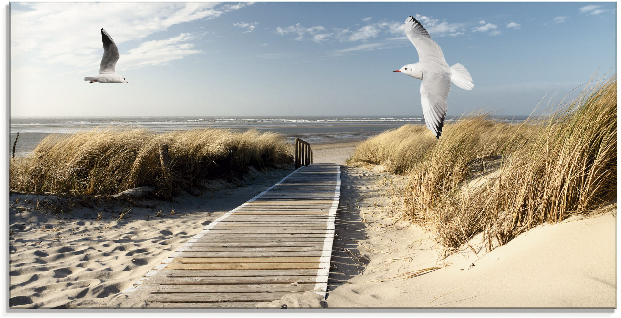 Artland Glasbild "Nordseestrand auf Langeoog mit Möwen" Strand 1 Stk. tlg. in verschiedenen Größen