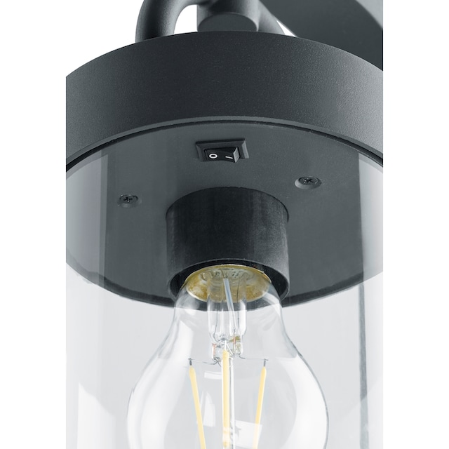 TRIO Leuchten Außen-Stehlampe »Sambesi«, 1 flammig-flammig kaufen | BAUR
