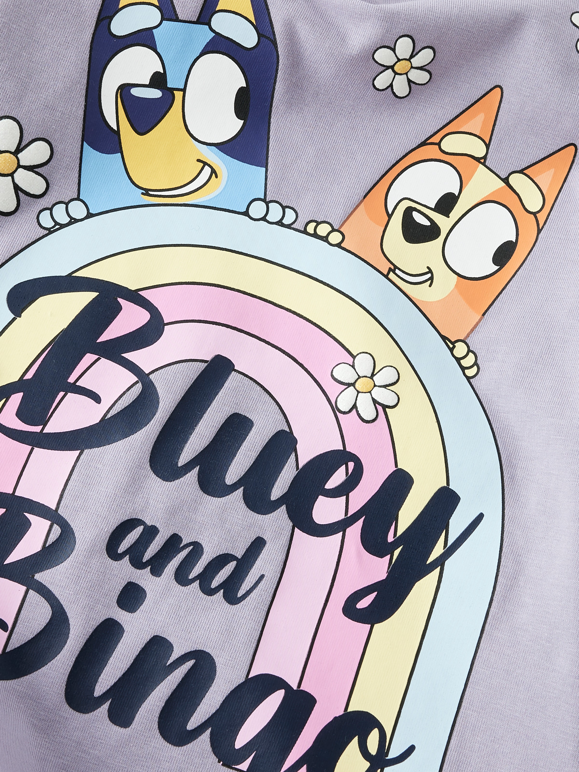 Name It Langarmshirt »NMFJESSIE BLUEY LS TOP BOX NOOS SKY«
