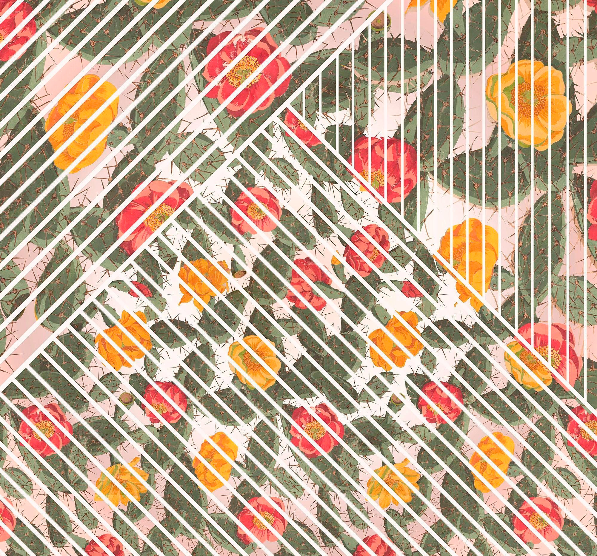 Komar Vliestapete »Cactus« 300x280 cm (Breit...