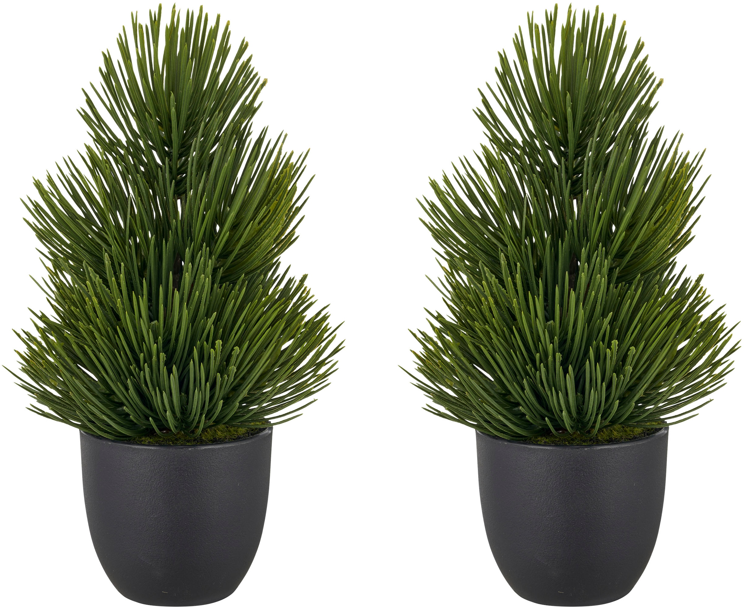 Creativ green Winterliche Kunstpflanze "Kiefernbäumchen" mit detalgetreuem günstig online kaufen