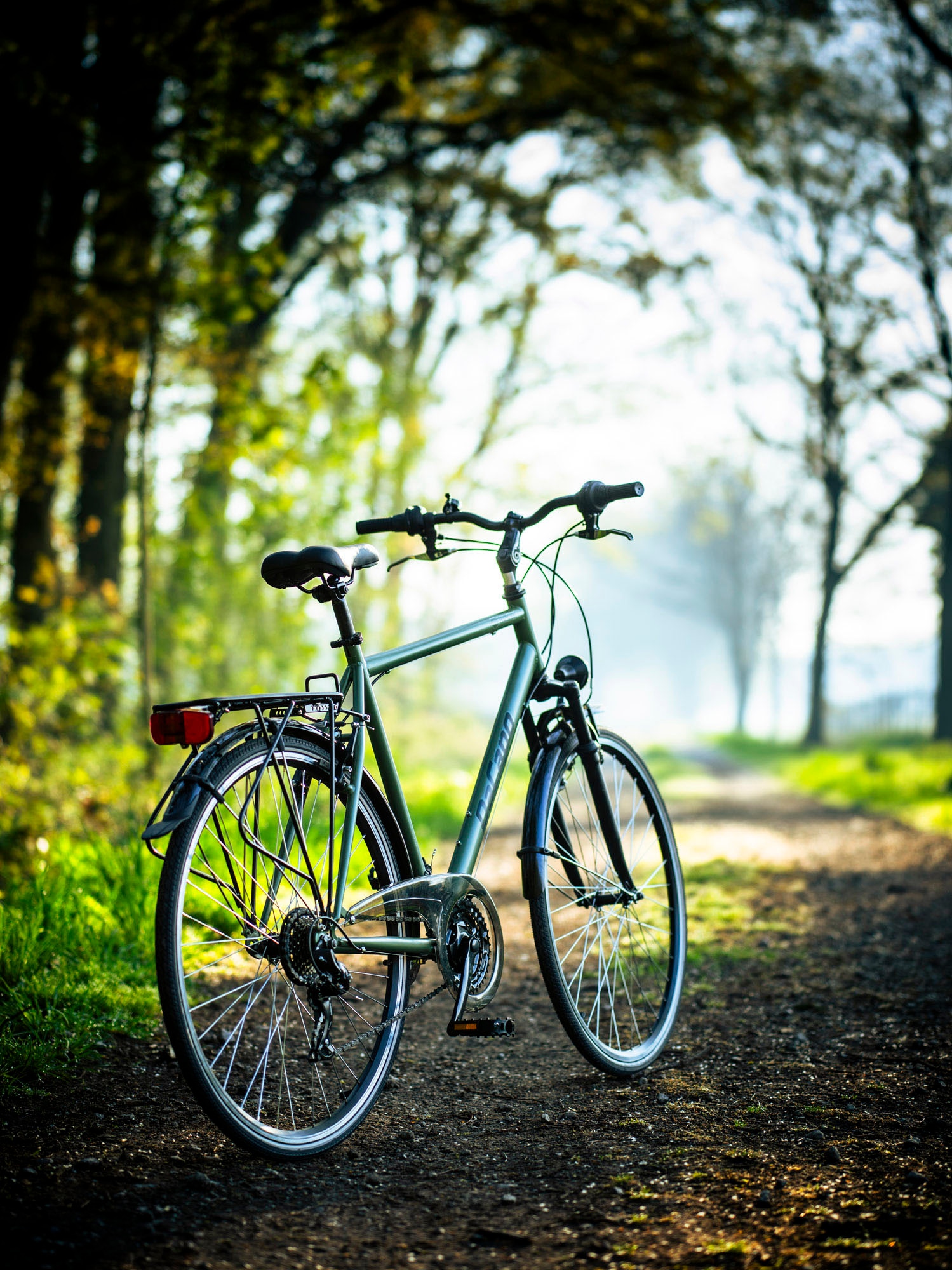 Dacapo Trekkingrad »Trekkingrad Herren 28'' Montreal Olivgrün 21 Gänge RH 58 cm«, 21 Gang, Kettenschaltung