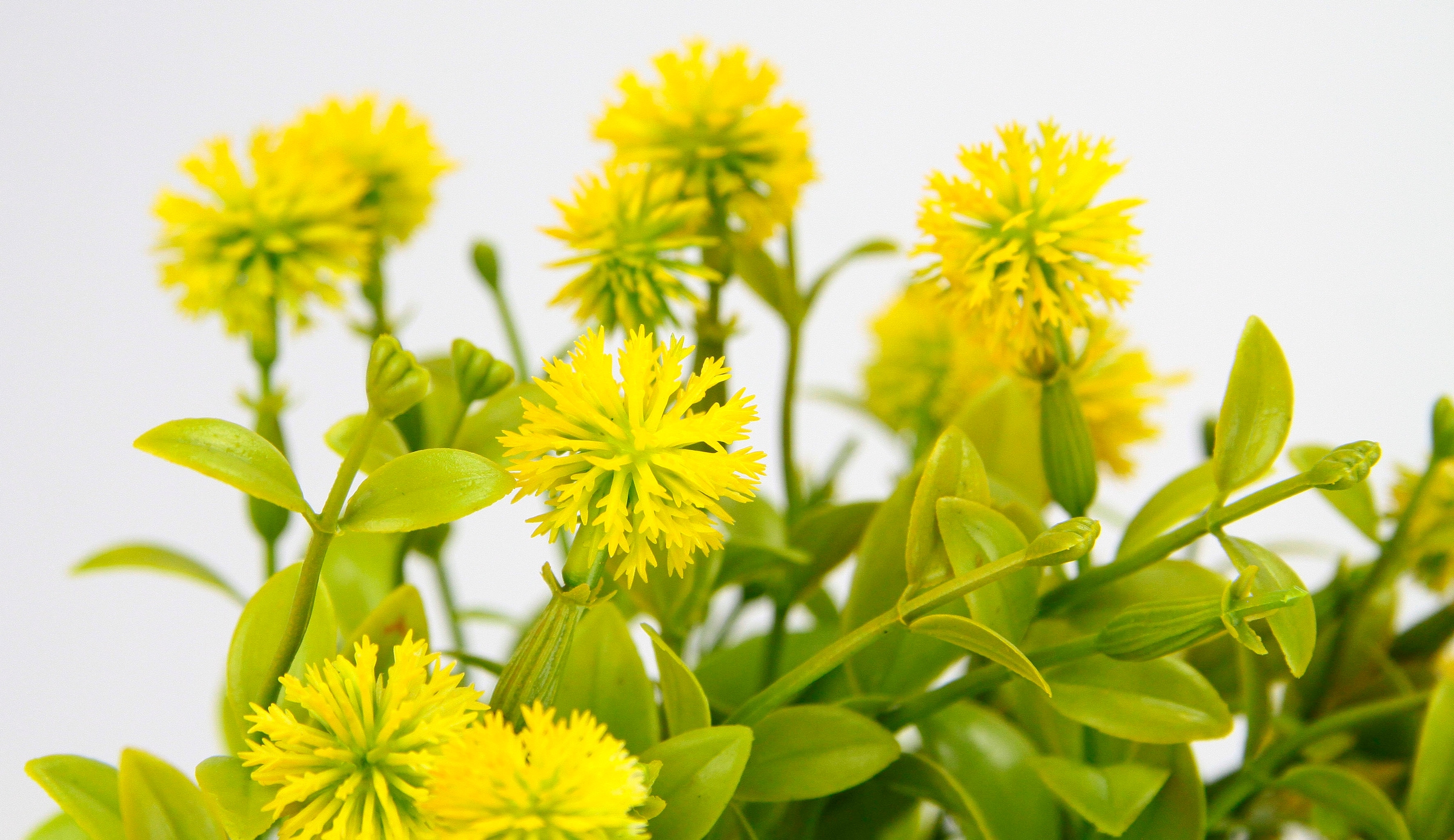 »Margerite BAUR I.GE.A. Busch im Pflanze Blumen Topf«, kaufen Tischdeko Deko Kunstpflanze Kunstblumen | Künstliche Blütenbusch