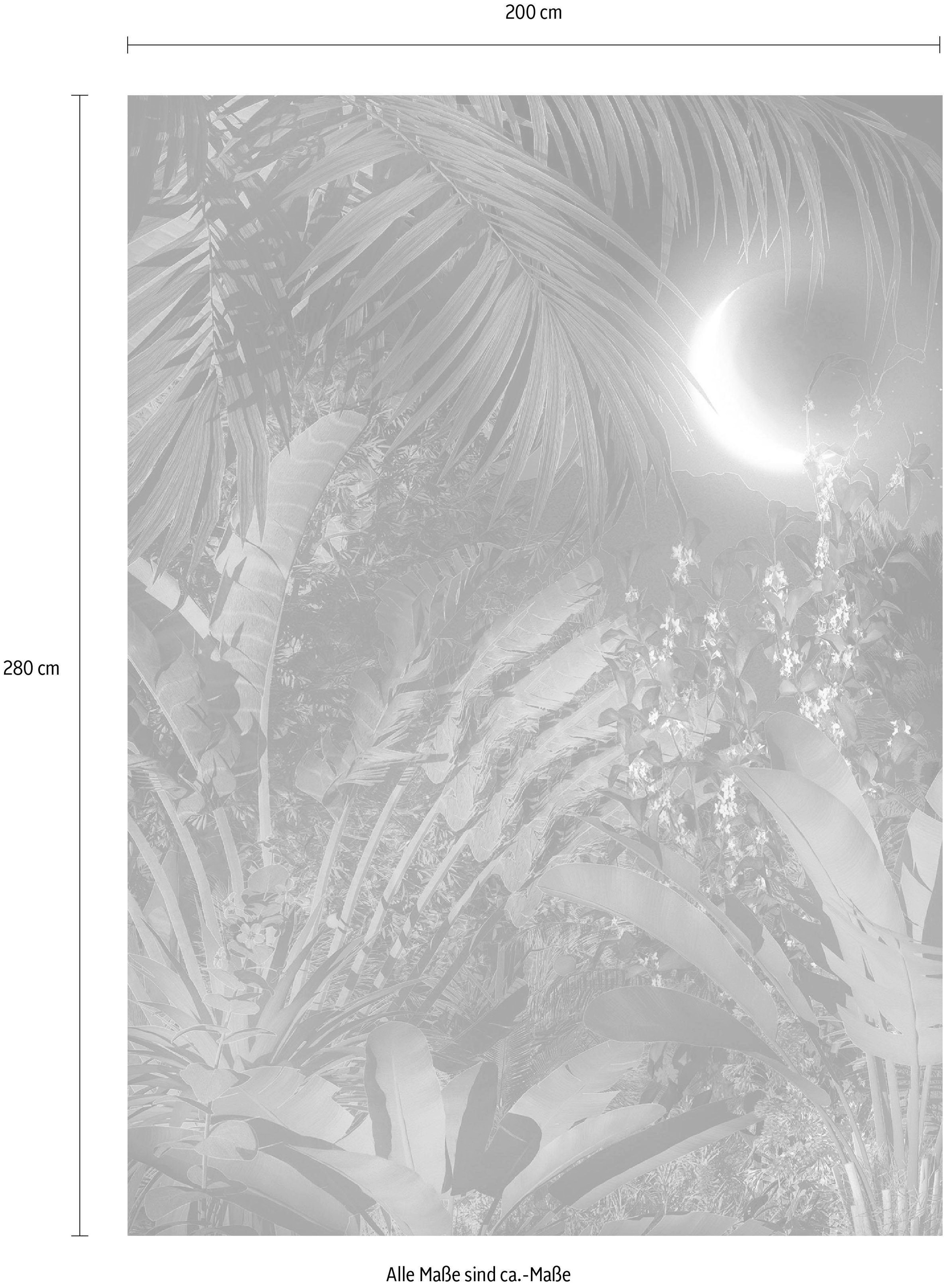 Komar Vliestapete »Digitaldruck Vlies -  Intense - Größe 200 x 280 cm« bedruckt glatt Wohnzimmer, Schlafzimmer