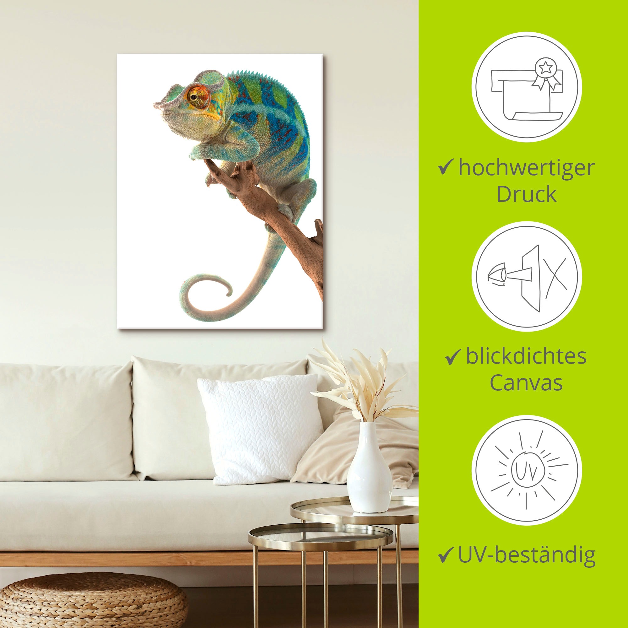 Leinwandbild ARTLAND "Ambanja Panther Chamäleon", weiß (farbe bild(er): weiß), B:60cm H:80cm, Bilder, Leinwandbild, auf Holzrahmen gespannt 3