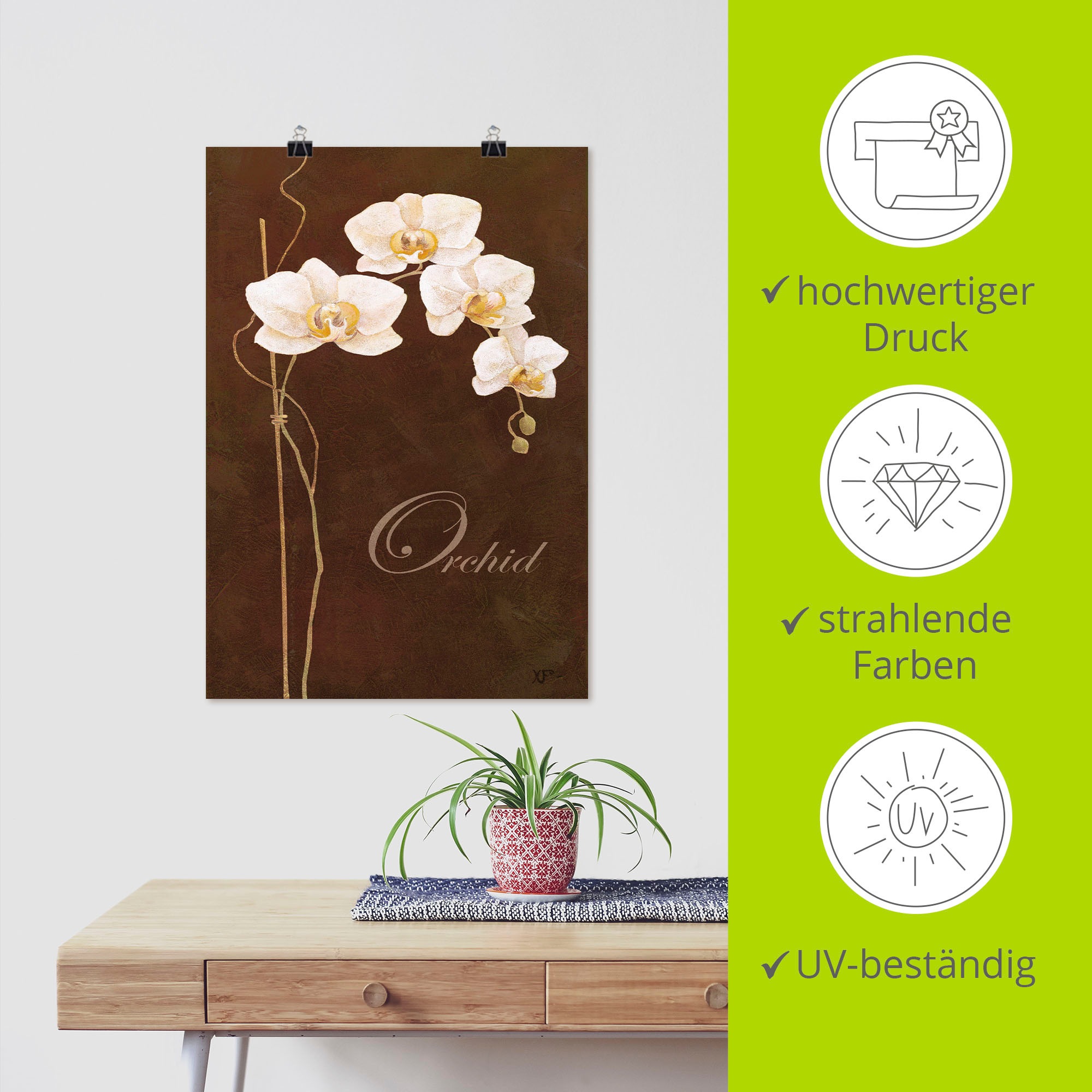 Artland Poster »Zarte Orchidee« Blumen 1 Stk. tlg. als Leinwandbild, Poster in verschied. Größen