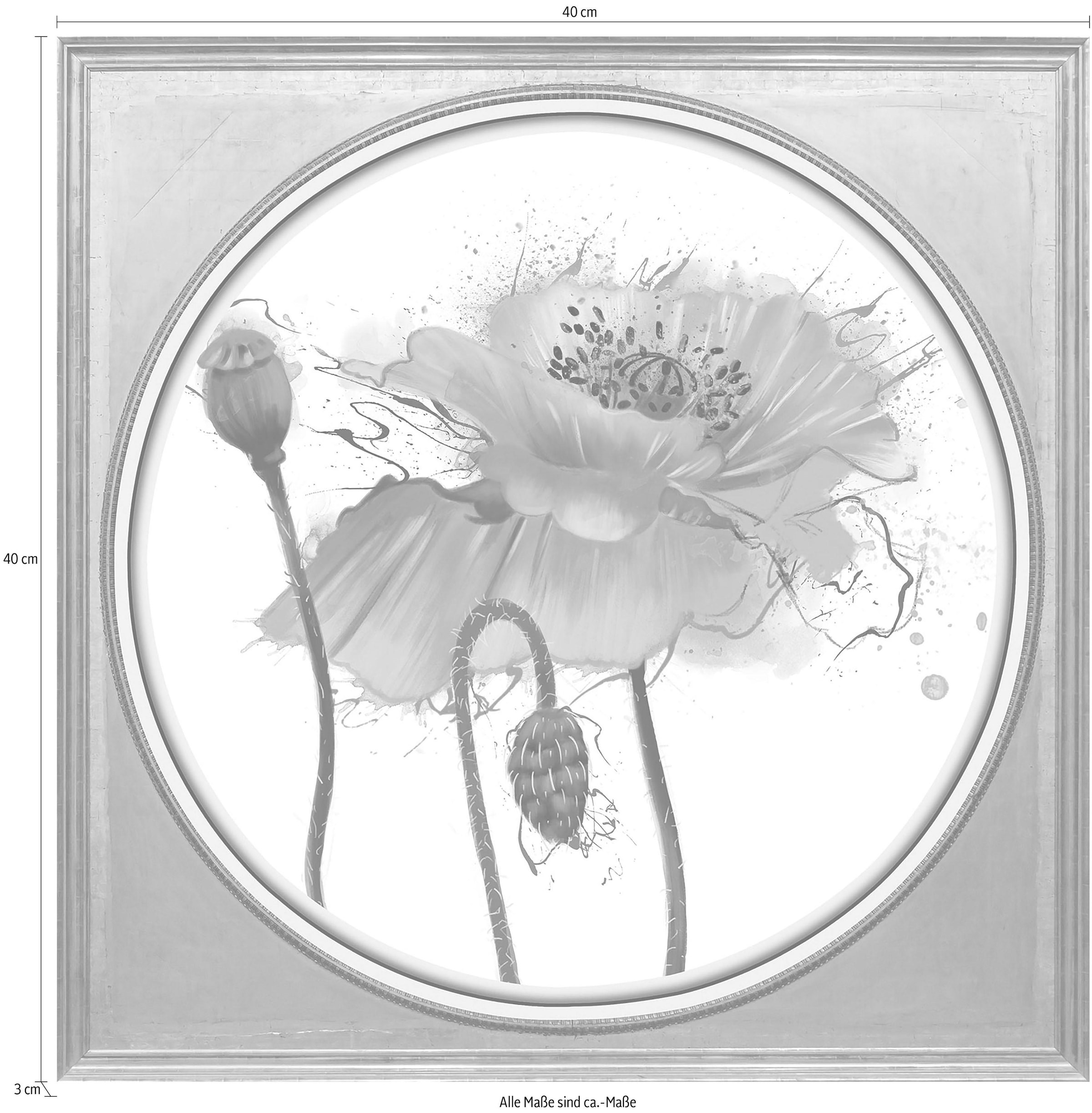 queence Acrylglasbild »Mohnblüte«, Blumen-Blumenbilder-Kunst-Pflanzen-Pflanzenbilder-Gemälde, Fine Art-Print in Galeriequalität