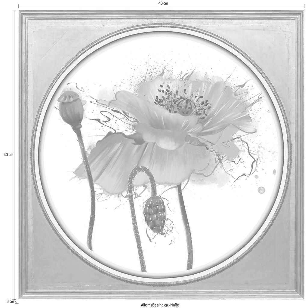 queence Acrylglasbild »Mohnblüte«