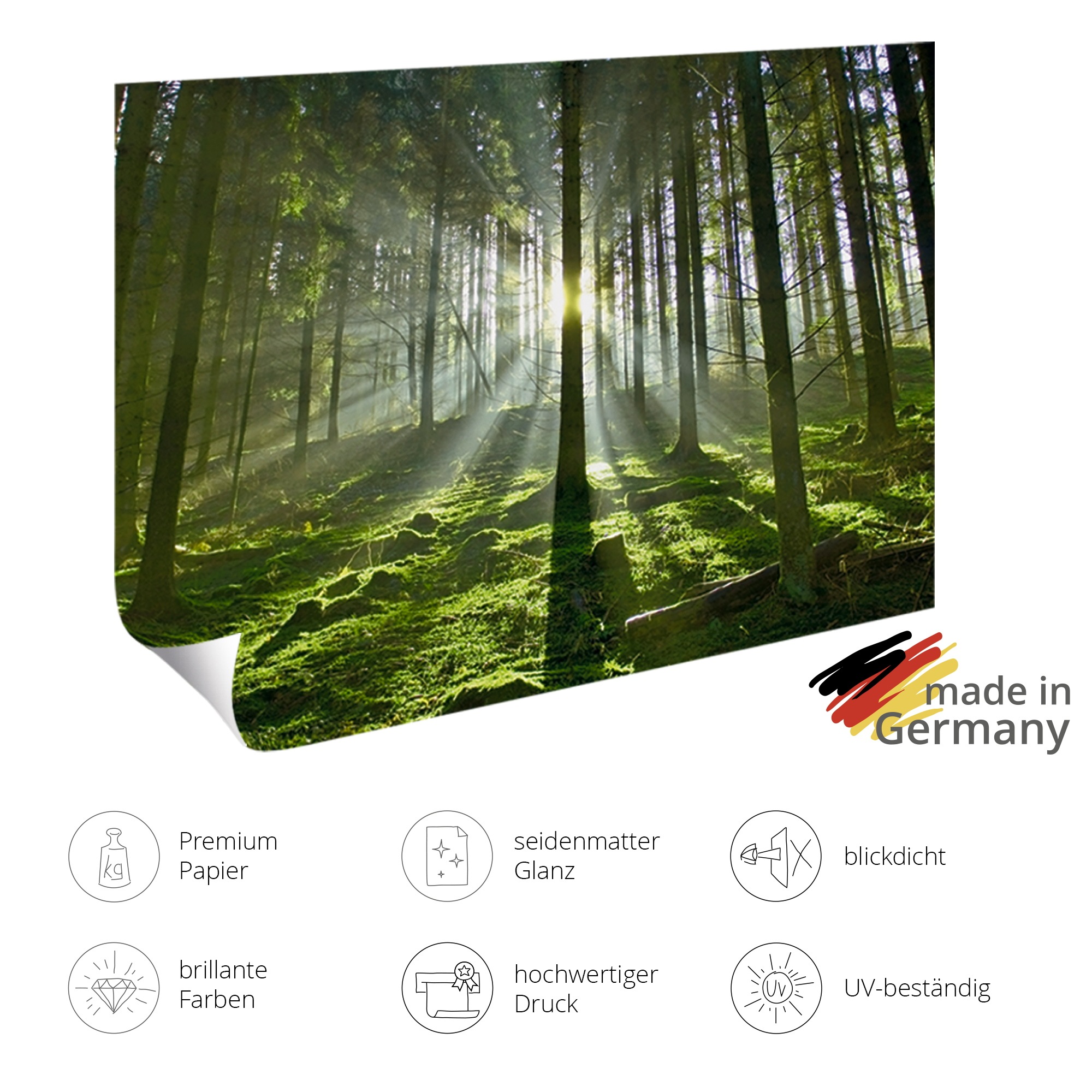 OTTO home Wandbild »Green Living« Pflanzenbilder 6 Stk. tlg. in verschied. Größen