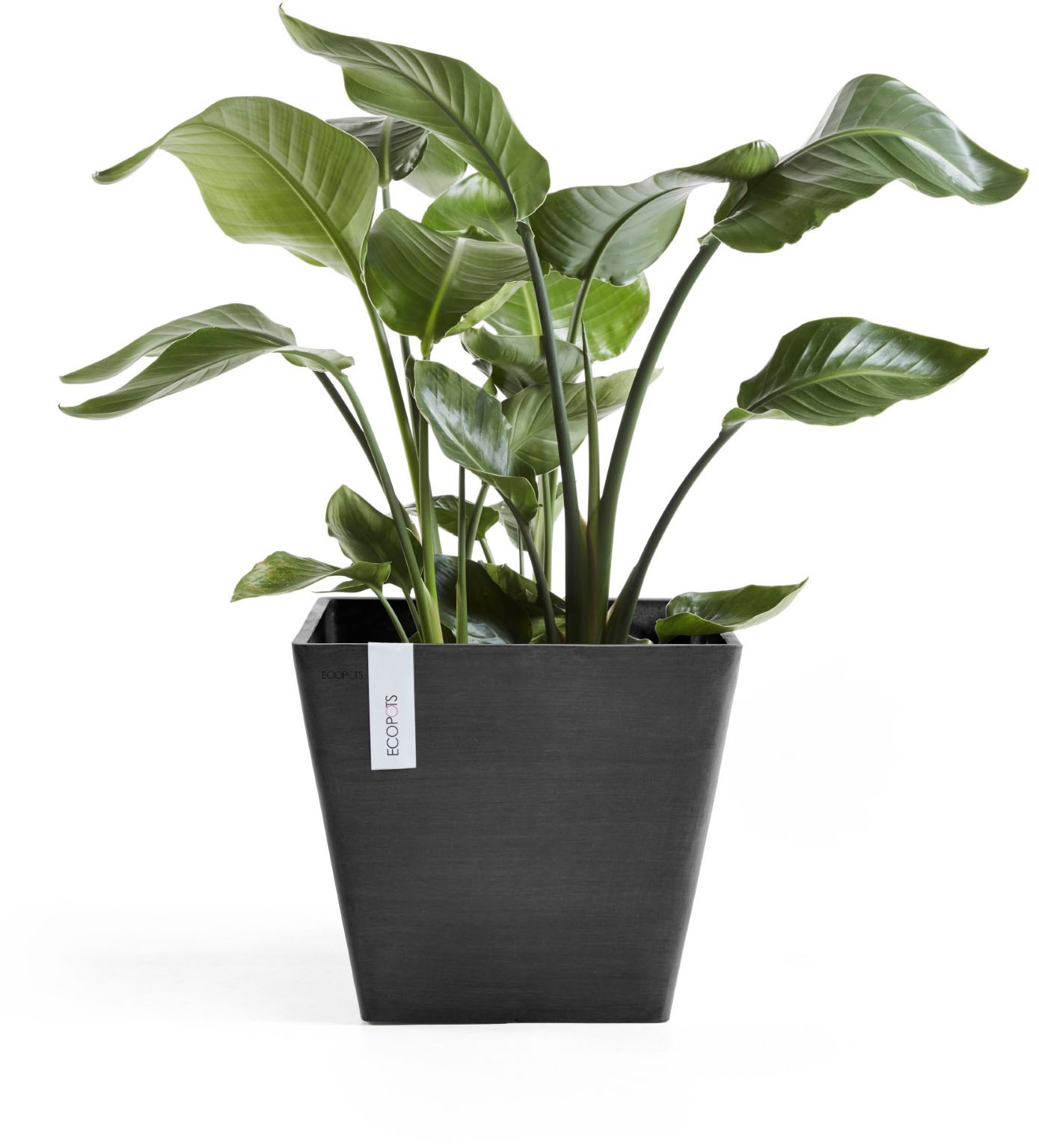 ECOPOTS Blumentopf »ROTTERDAM Dark Grey« BxTxH: 40x40x35 cm