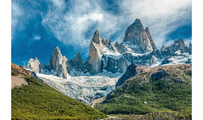 Fototapete »GEBIRGE-PATAGONIEN BLUMEN BERGE WIESE SONNE WALD FLUSS«