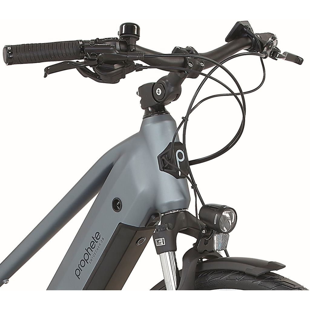 Prophete E-Bike »Prophete E-Bike Entdecker 3.8«, 8 Gang, Shimano, Altus, Mittelmotor 250 W