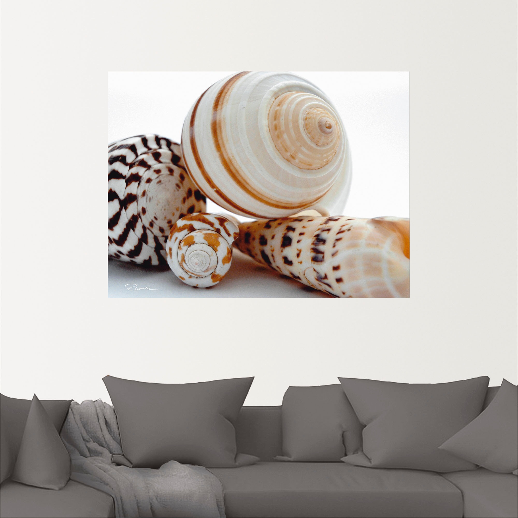 Artland Wandbild »Muschelkomposition III«, Wassertiere, (1 St.), als Alubild, Outdoorbild, Wandaufkleber in verschied. Größen