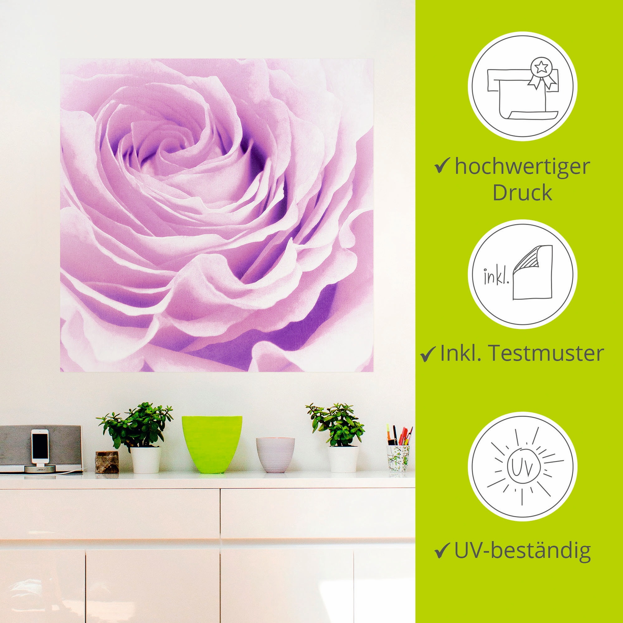 Artland Wandbild »Pastell Rose«, Blumen, (1 St.), als Leinwandbild, Poster, Wandaufkleber in verschied. Größen