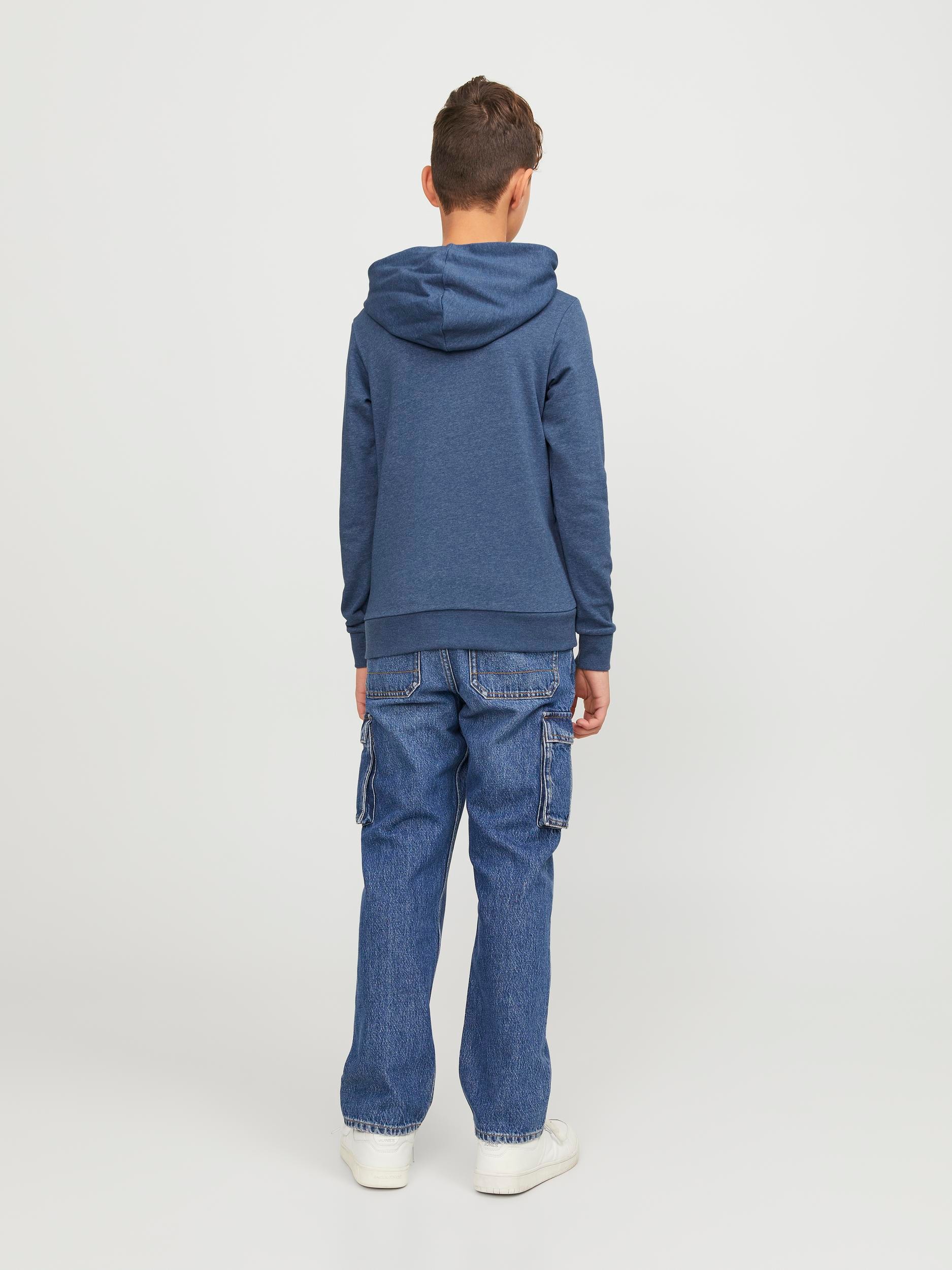 Jack & Jones Junior Hoodie »JJELOGO SWEAT HOOD 2 COL 24 SN JNR«