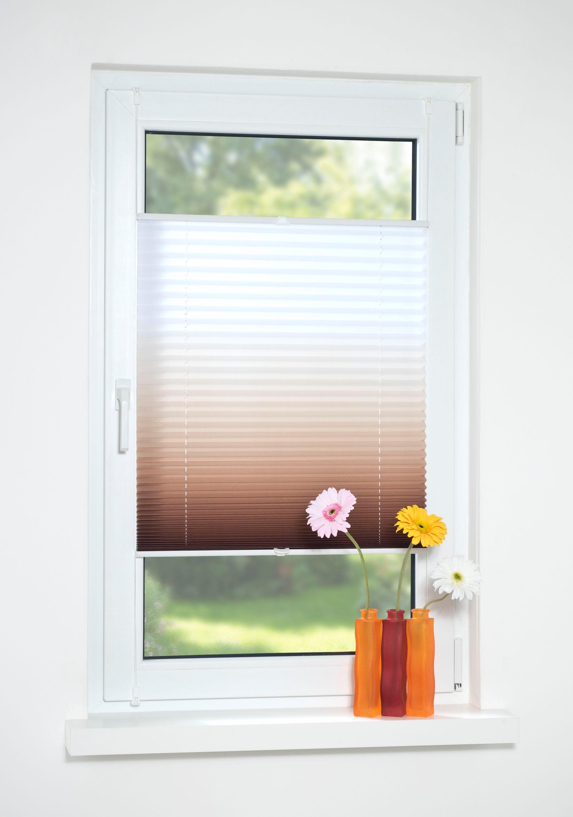 Liedeco Plissee "Farbverlauf" Lichtschutz ohne Bohren verspannt günstig online kaufen