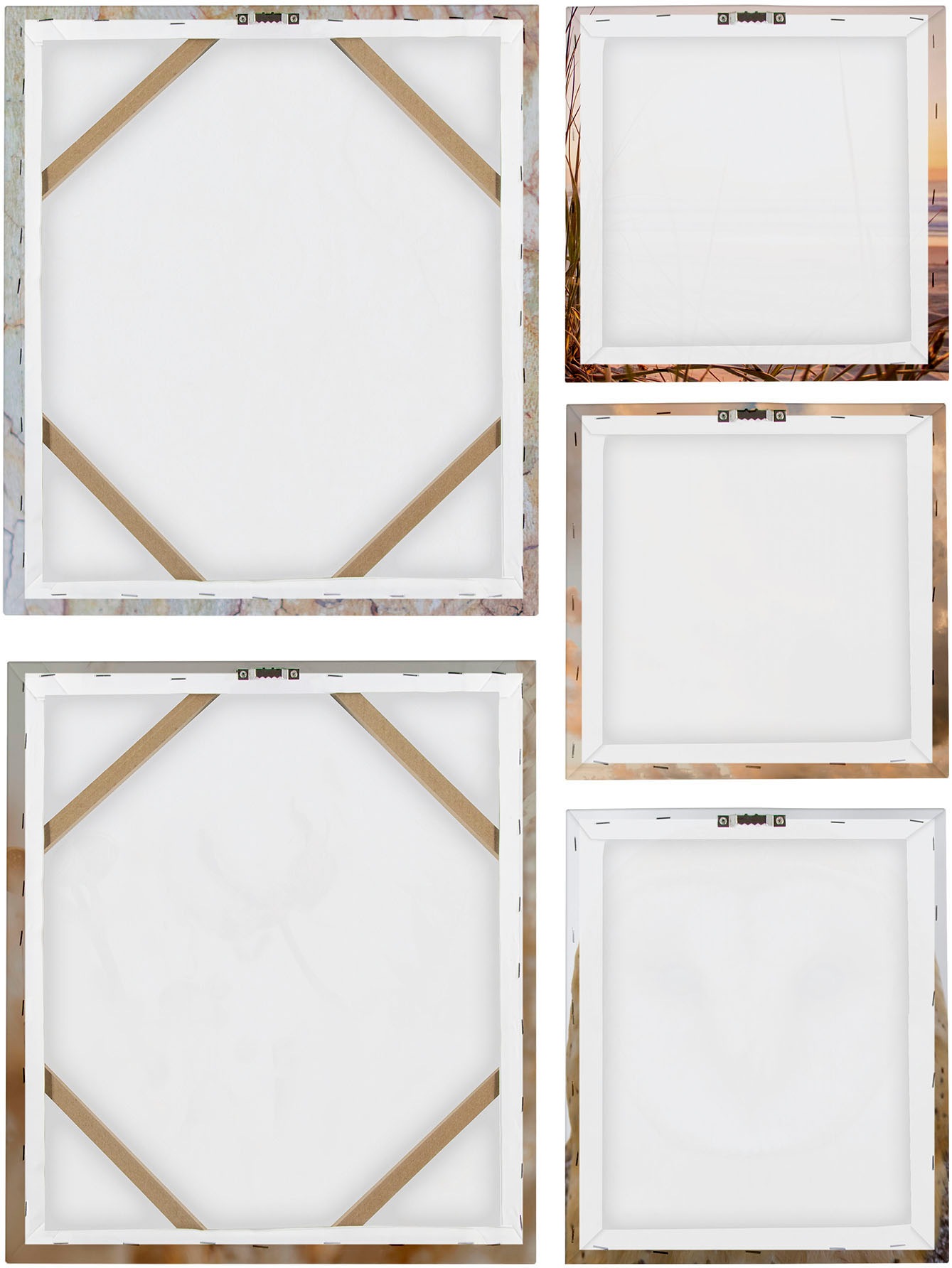 Art for the home Leinwandbild »Set Natur«, (Set, 5 St.)