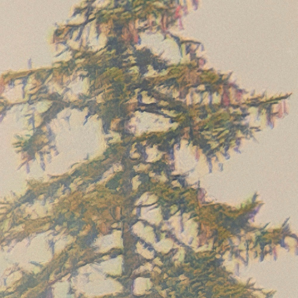 Komar Fototapete »Vlies Fototapete - Mystical Firs - Größe 400 x 250 cm« Motiv | bedruckt glatt
