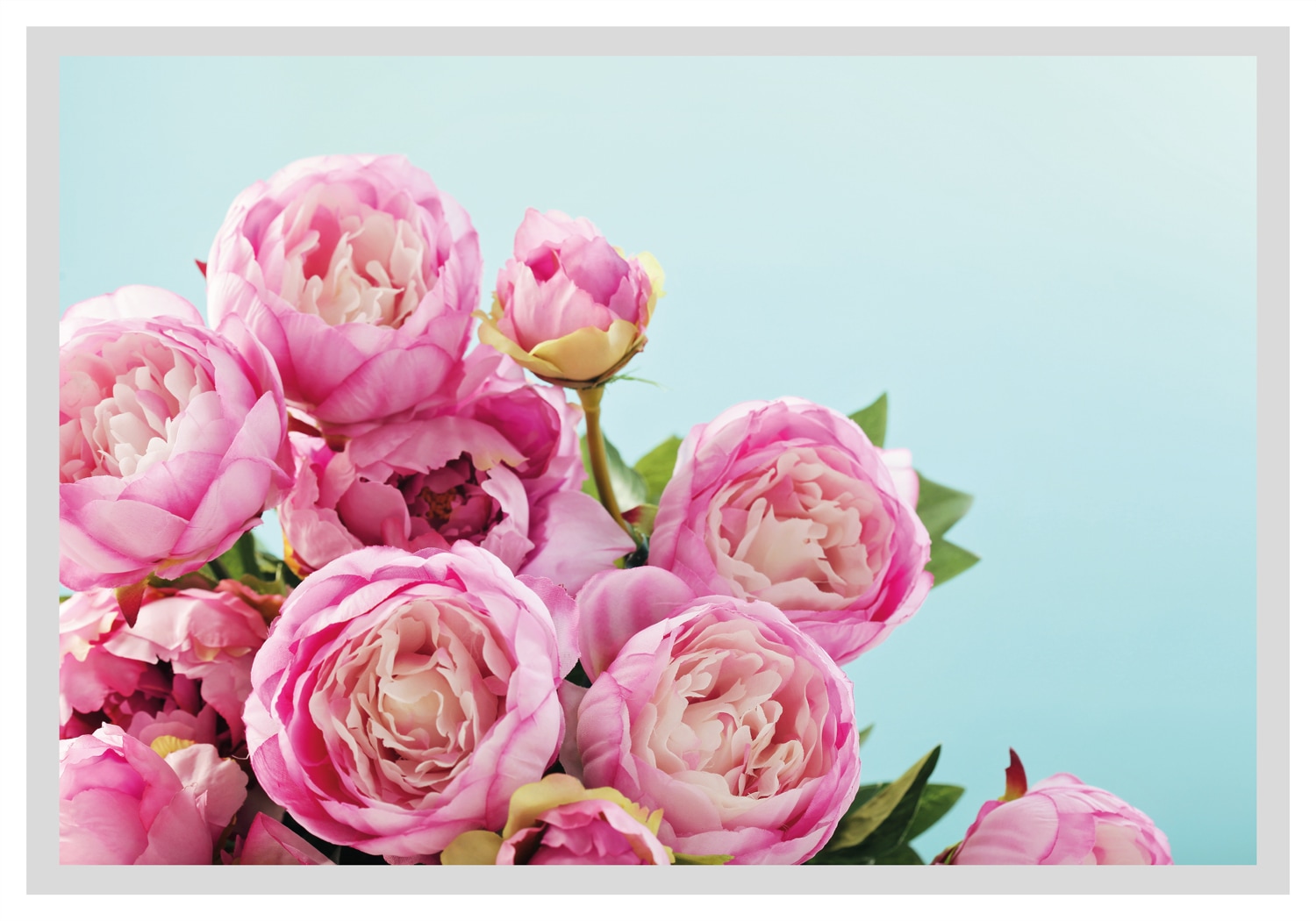 queence Bild »Marisa« Blumen | Foto | Kunst | Pflanzen | Pflanzenbilder gerahmt, Rosen
